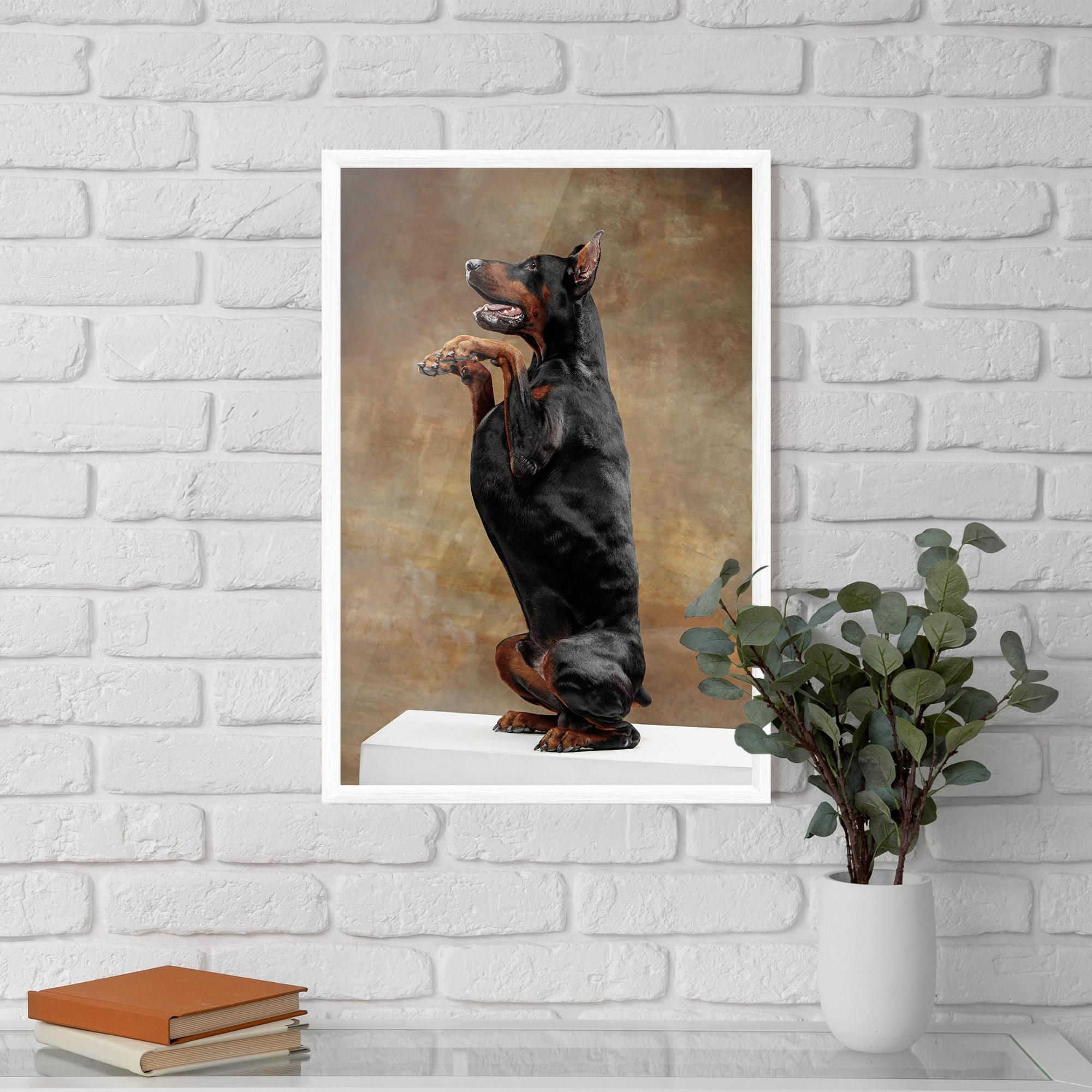 Poster Înrămat Doberman Standing mockup 5