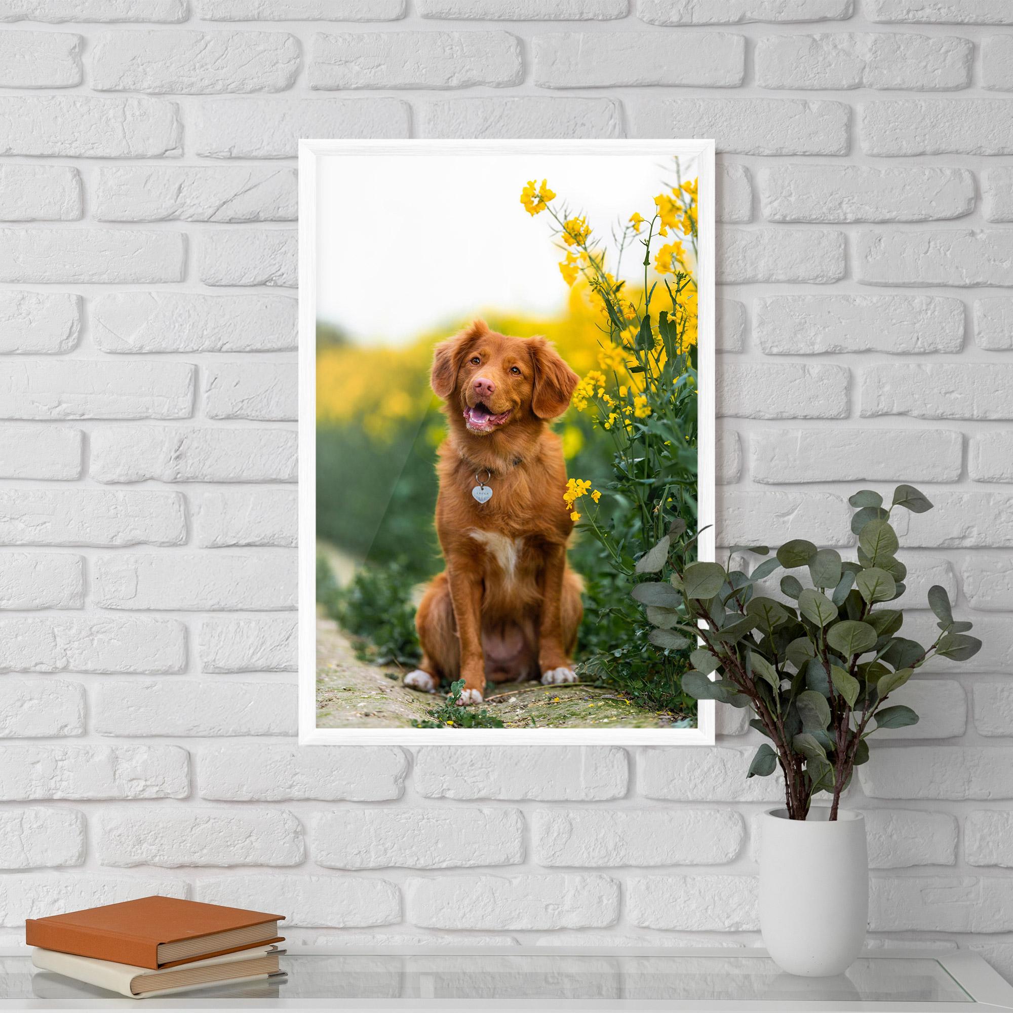 Poster Înrămat Dog Yellow Flowers mockup 5
