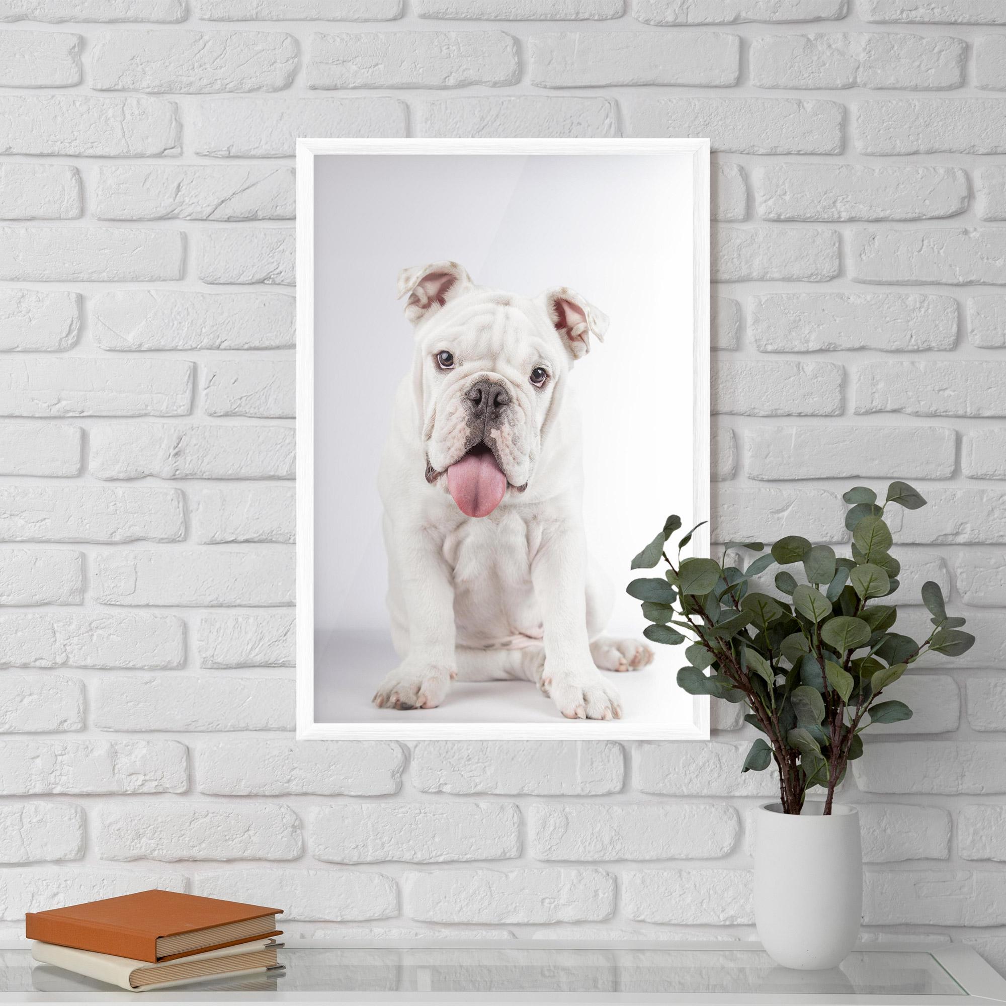 Poster Înrămat English Bulldog mockup 5