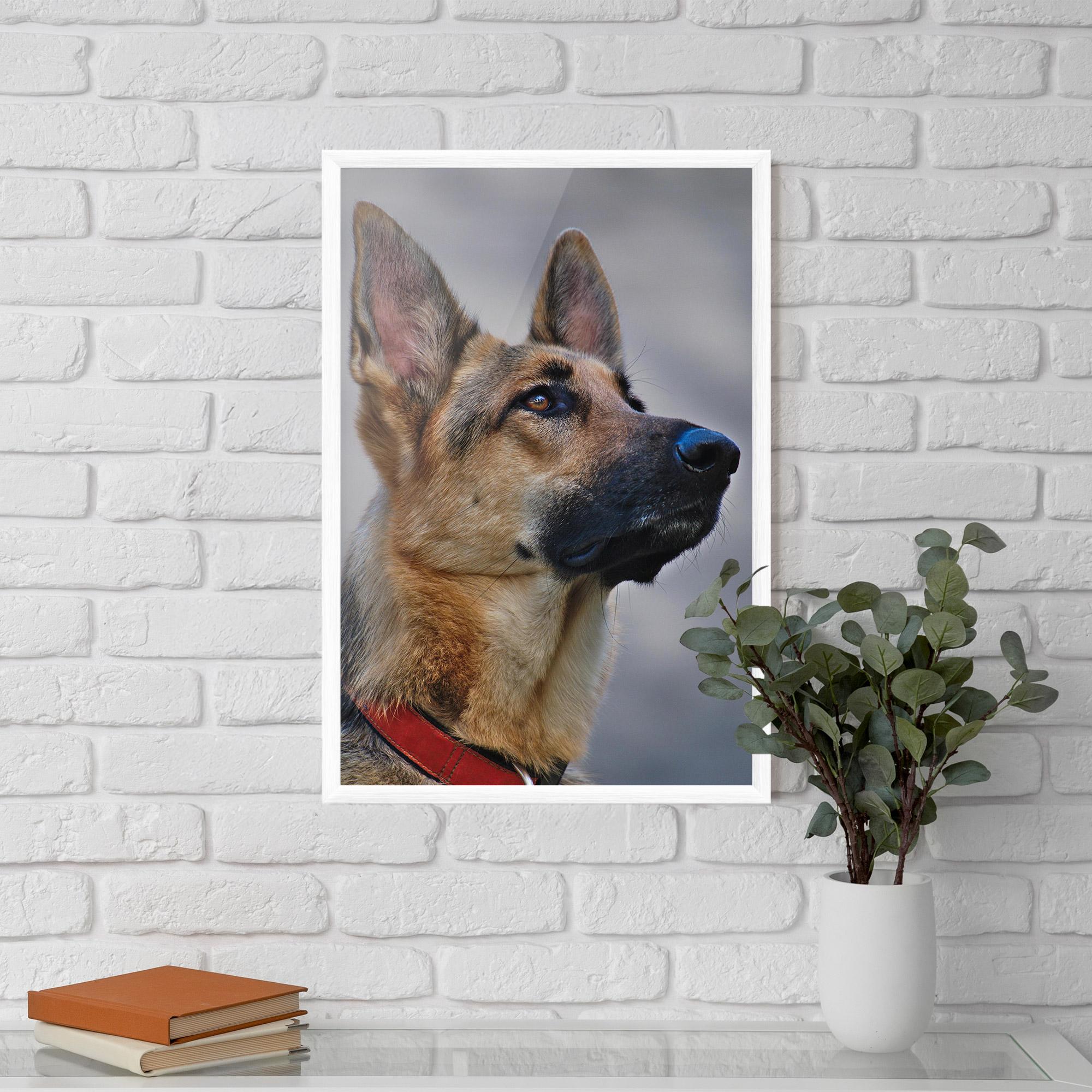 Poster Înrămat German Shepherd mockup 5