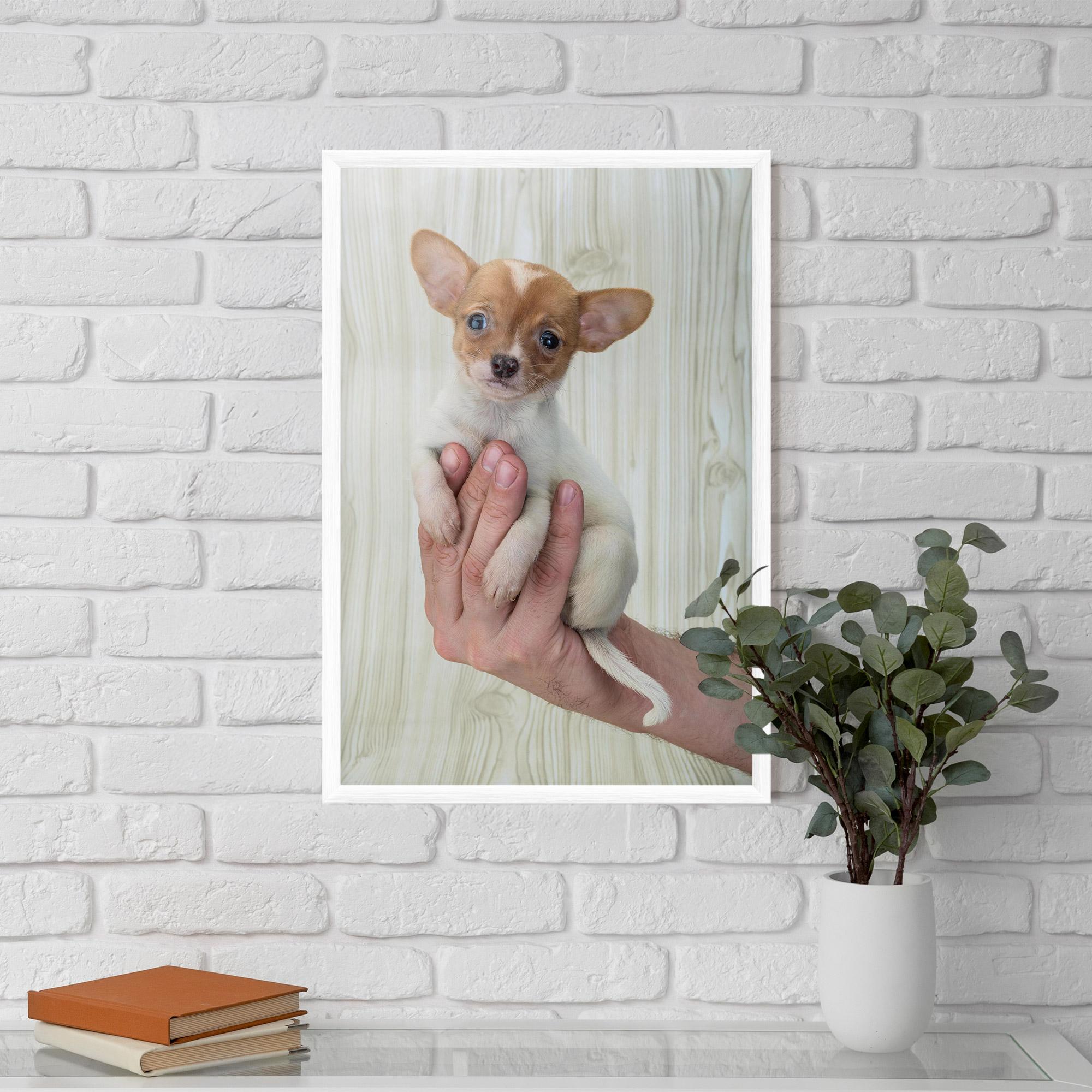 Poster Înrămat Holding Chihuahua mockup 5