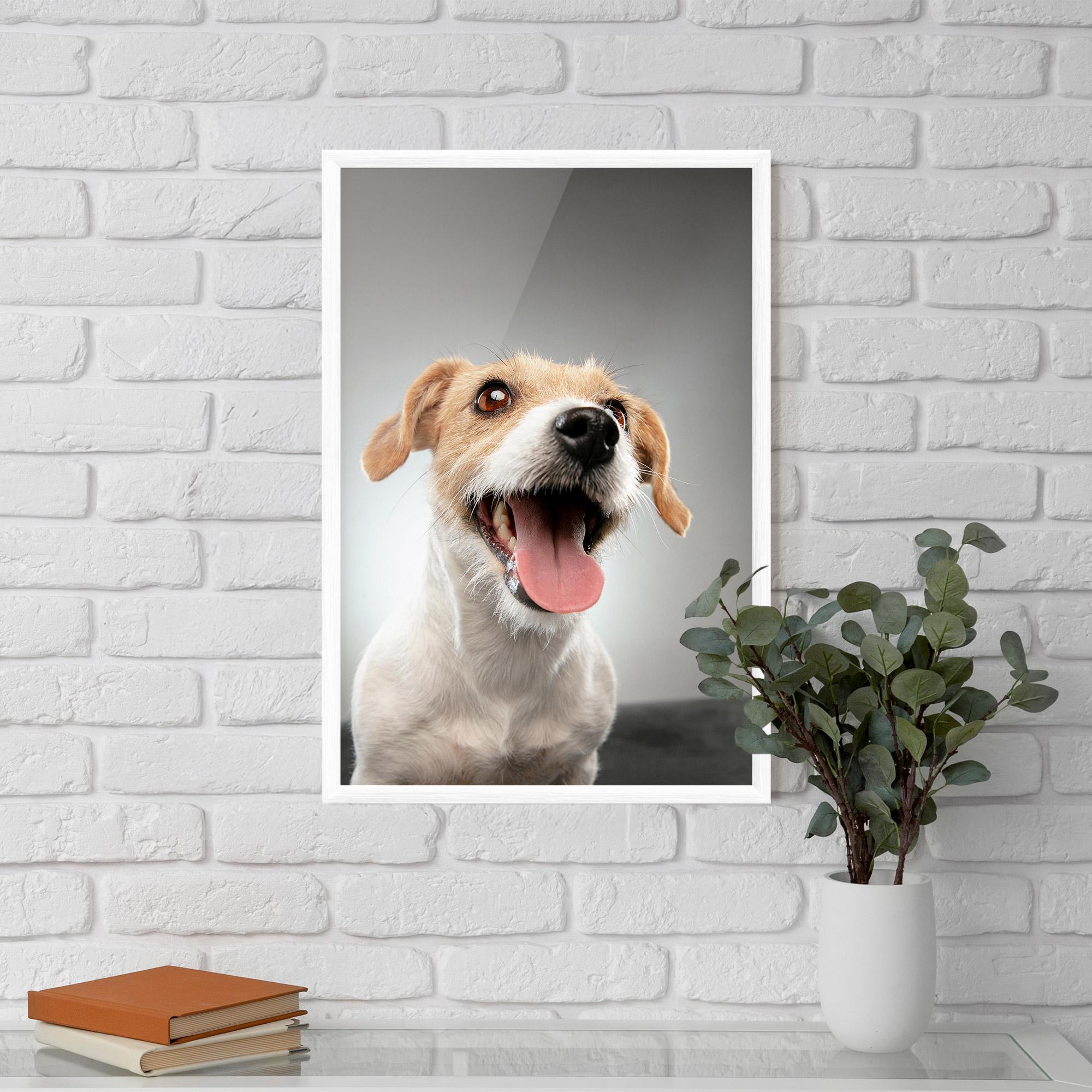 Poster Înrămat Jack Russell Terrier mockup 5