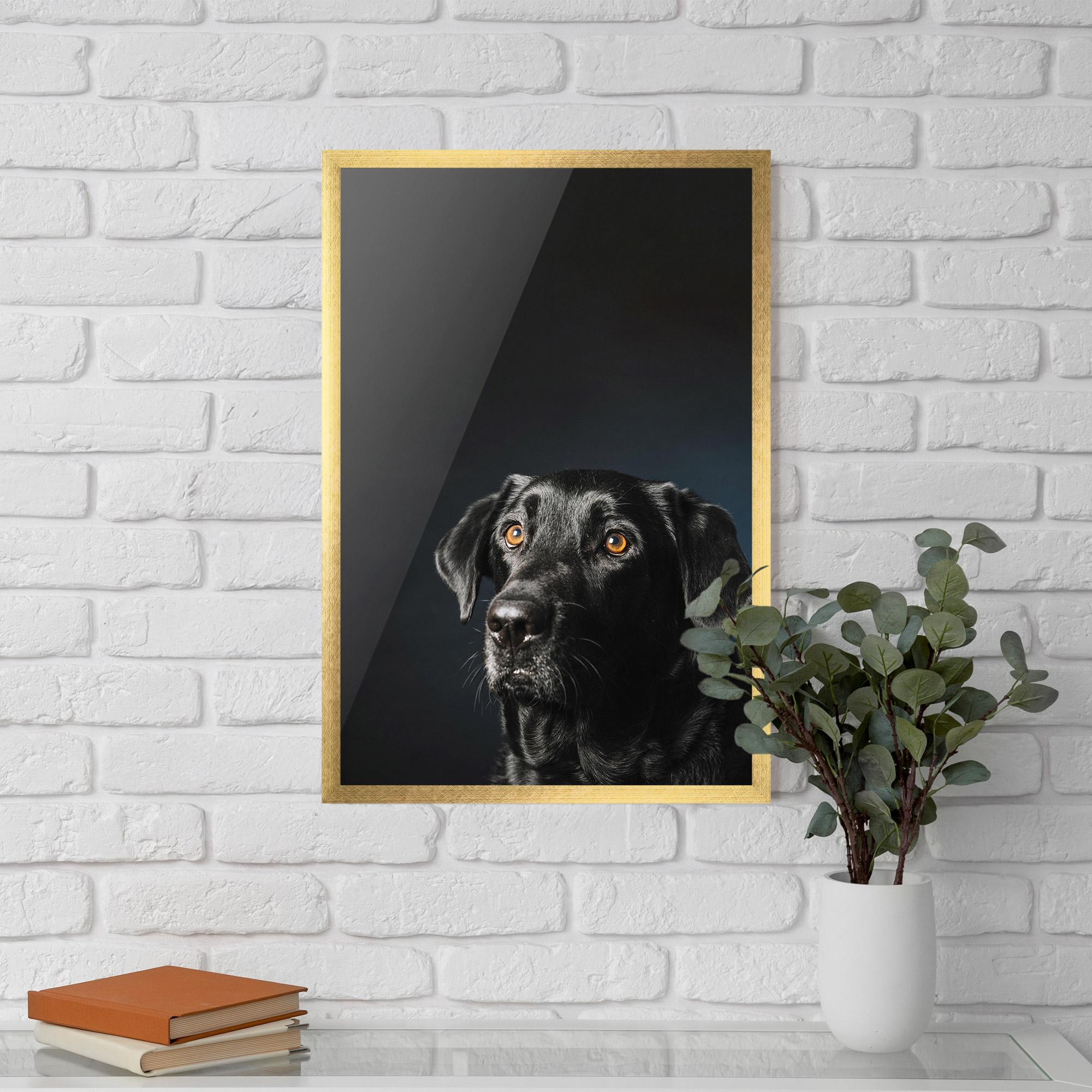 Poster Înrămat Brown Eyes Dog mockup 5