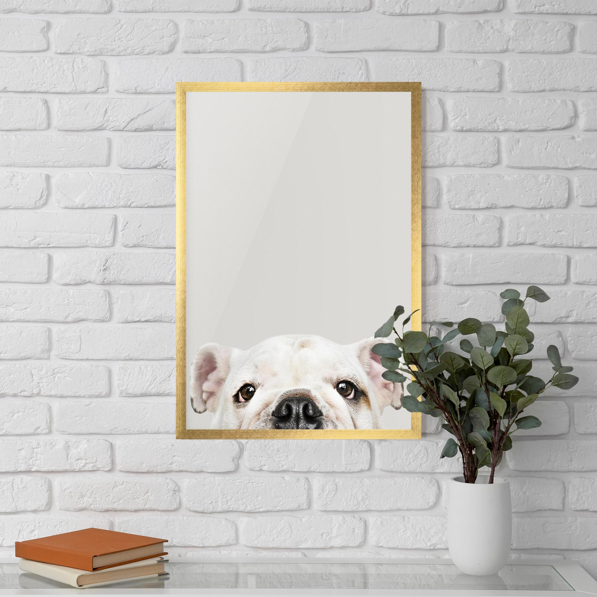 Poster Înrămat Bulldog Eyes mockup 5