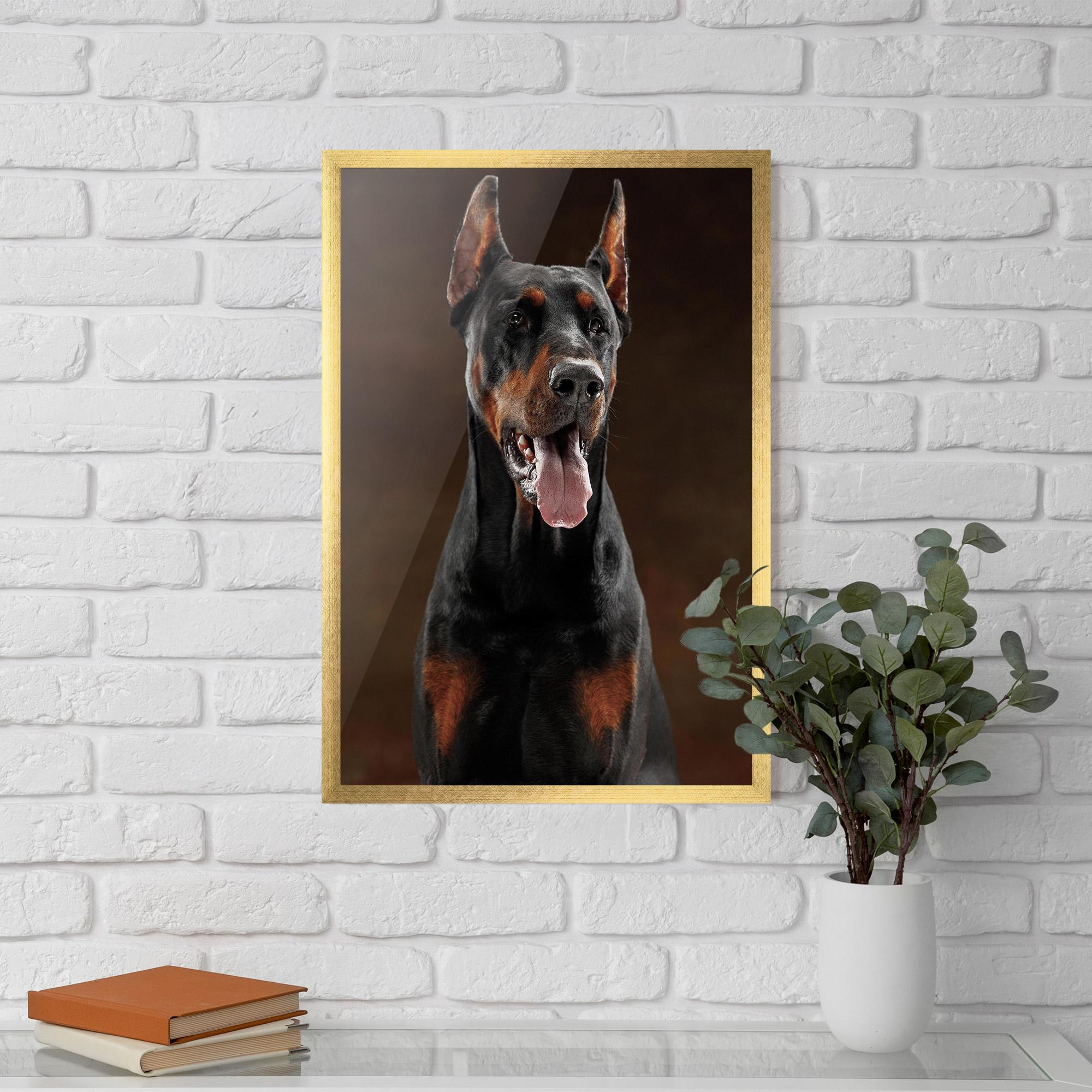 Poster Înrămat Doberman Looking mockup 5