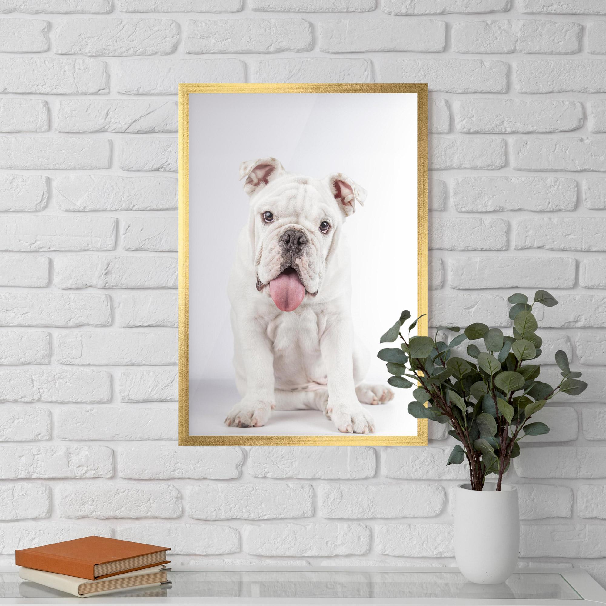 Poster Înrămat English Bulldog mockup 5