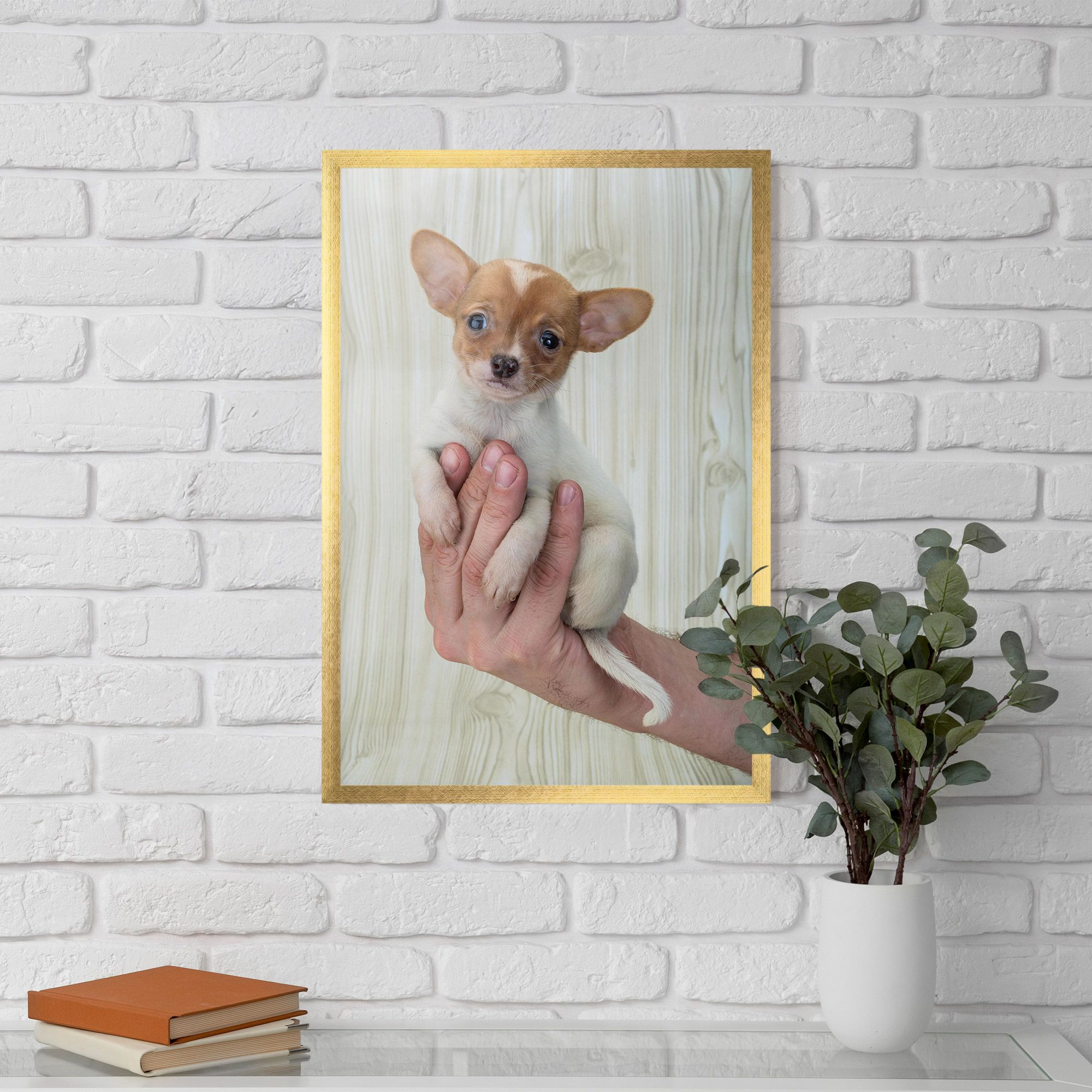 Holding Chihuahua mockup 5