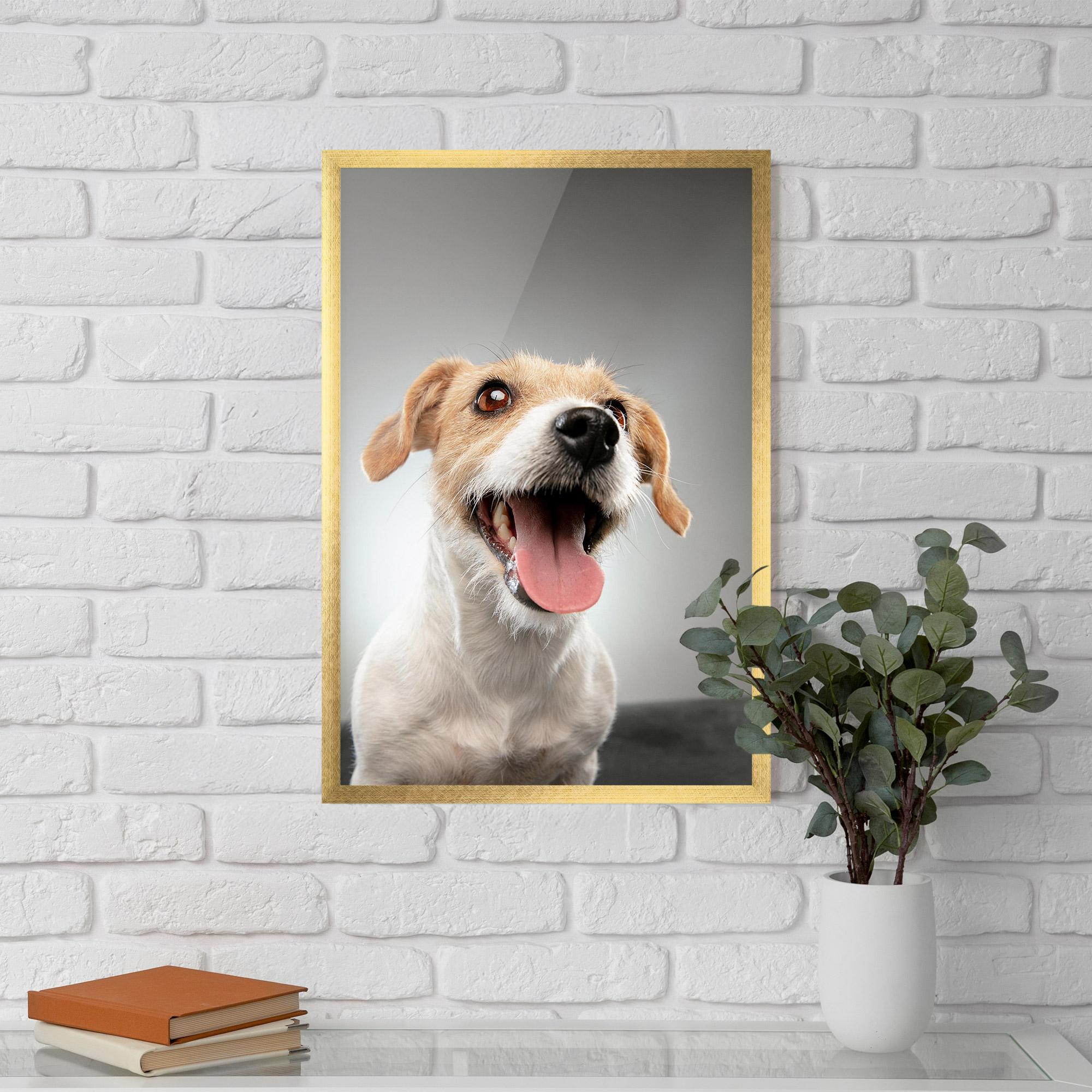 Poster Înrămat Jack Russell Terrier mockup 5