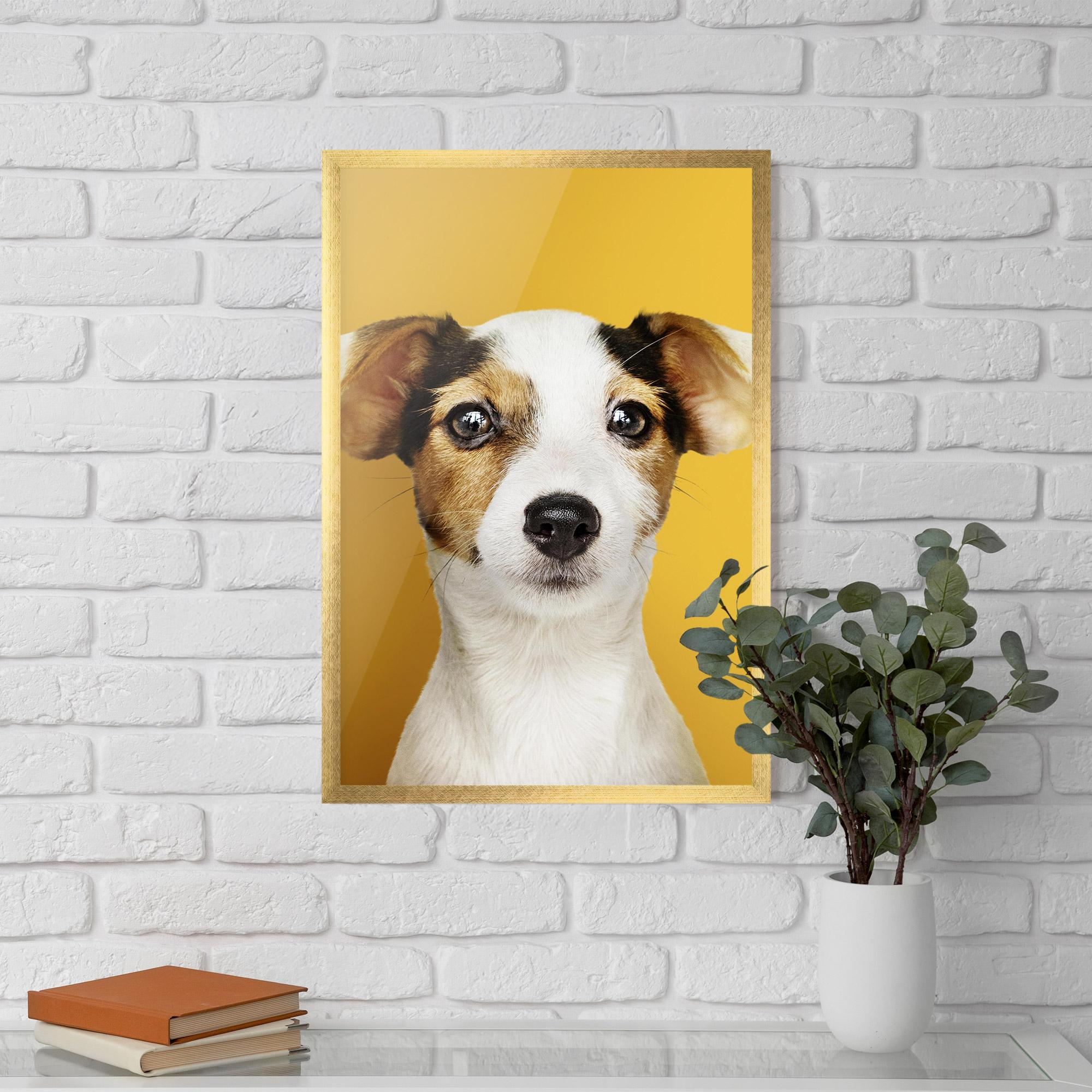 Poster Înrămat Puppy On Yellow mockup 5