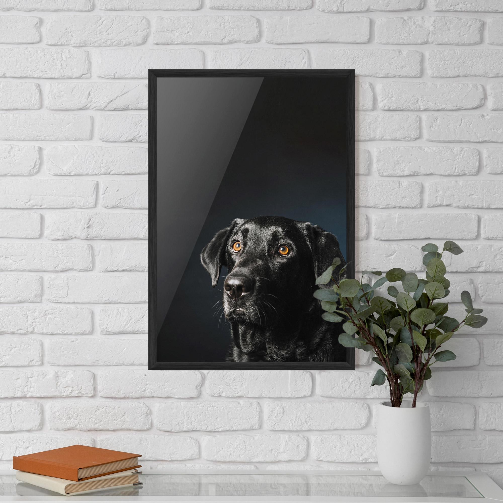 Poster Înrămat Brown Eyes Dog mockup 5