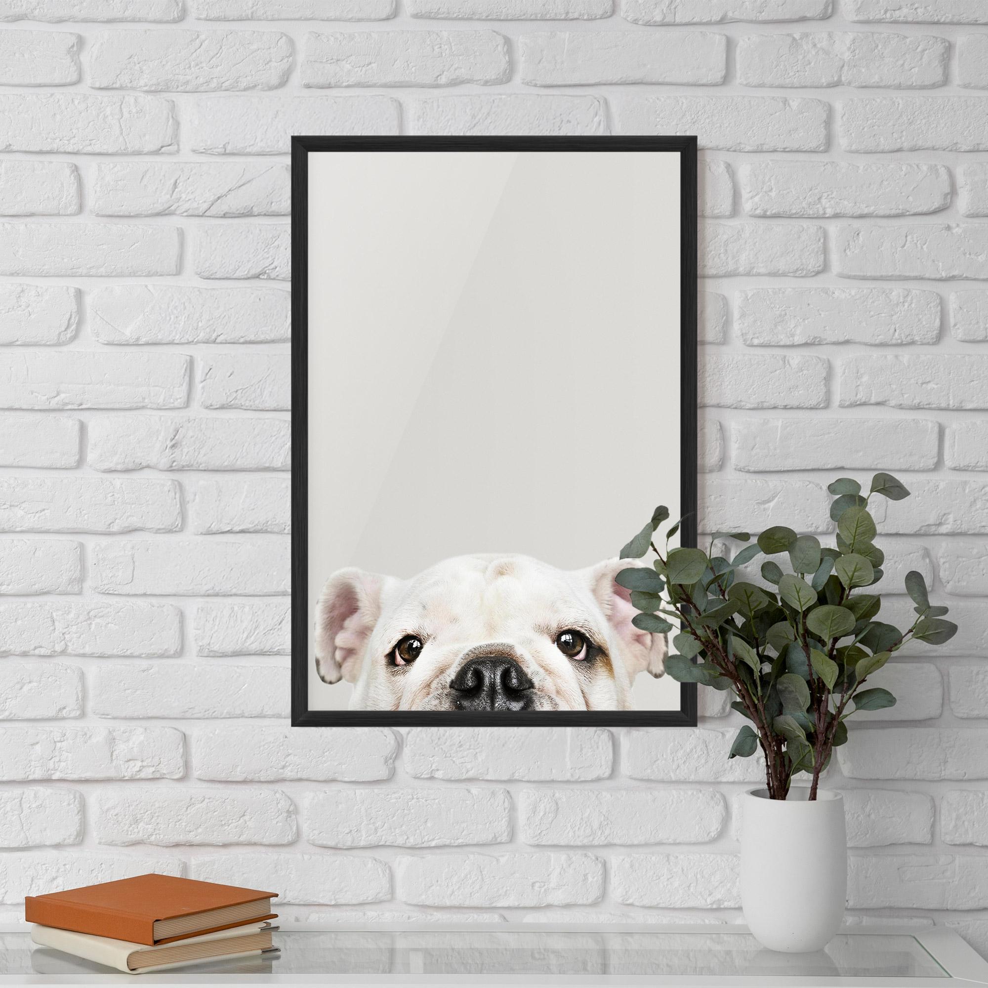 Poster Înrămat Bulldog Eyes mockup 5