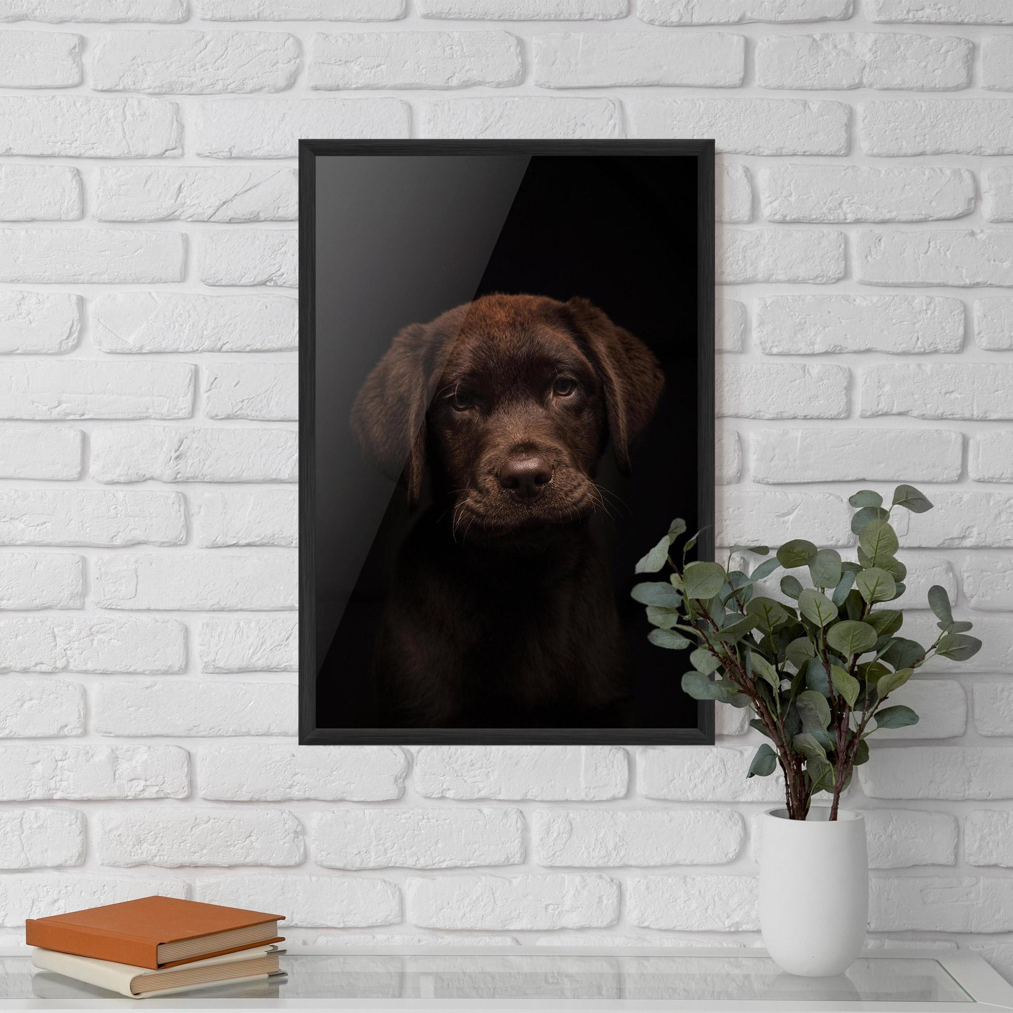 Poster Înrămat Chocolate Labrador mockup 5