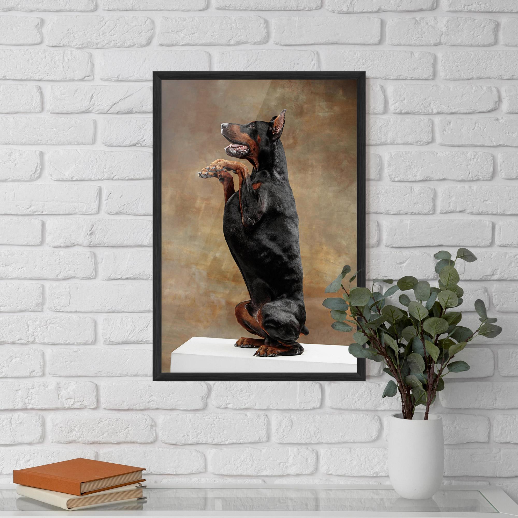 Poster Înrămat Doberman Standing mockup 5