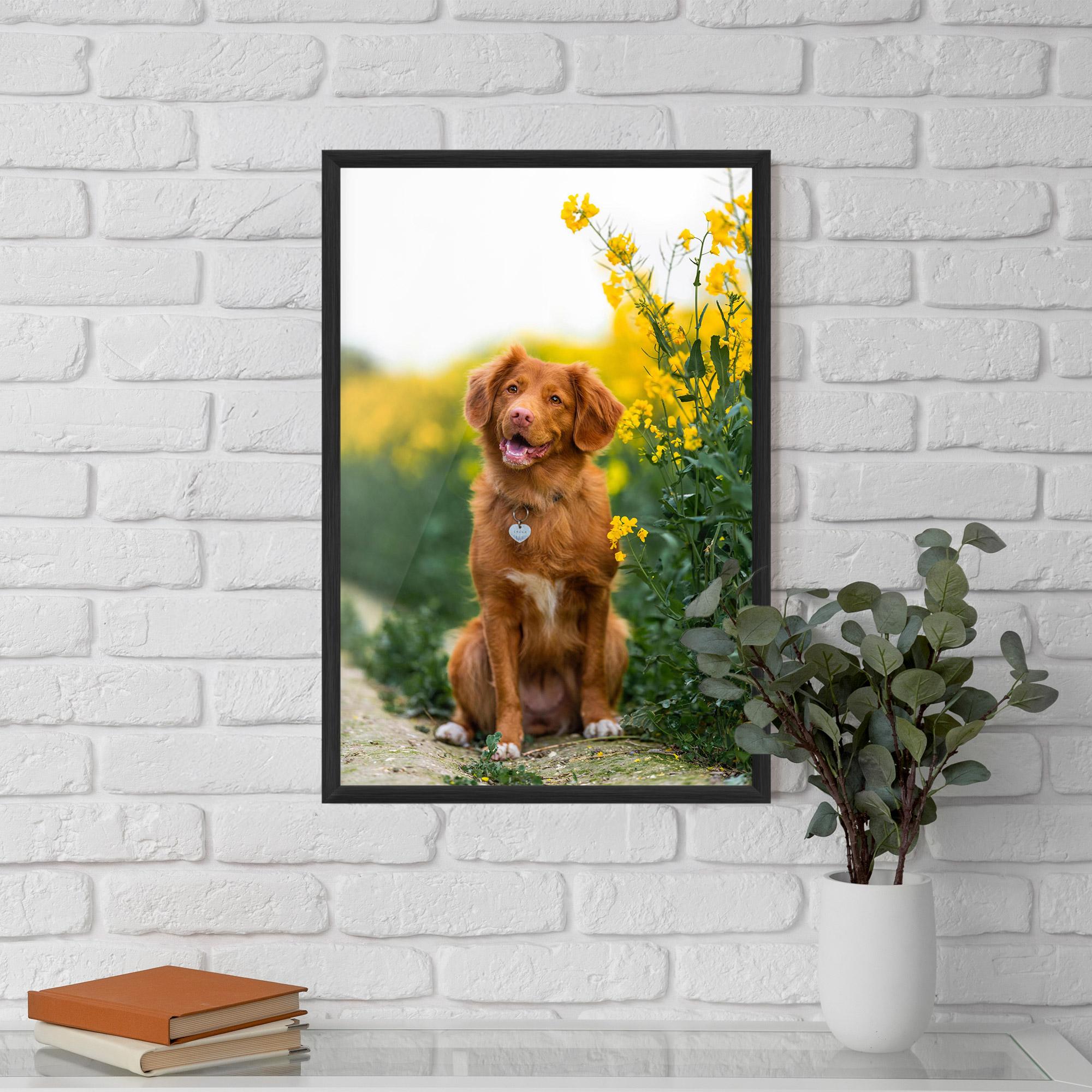 Poster Înrămat Dog Yellow Flowers mockup 5