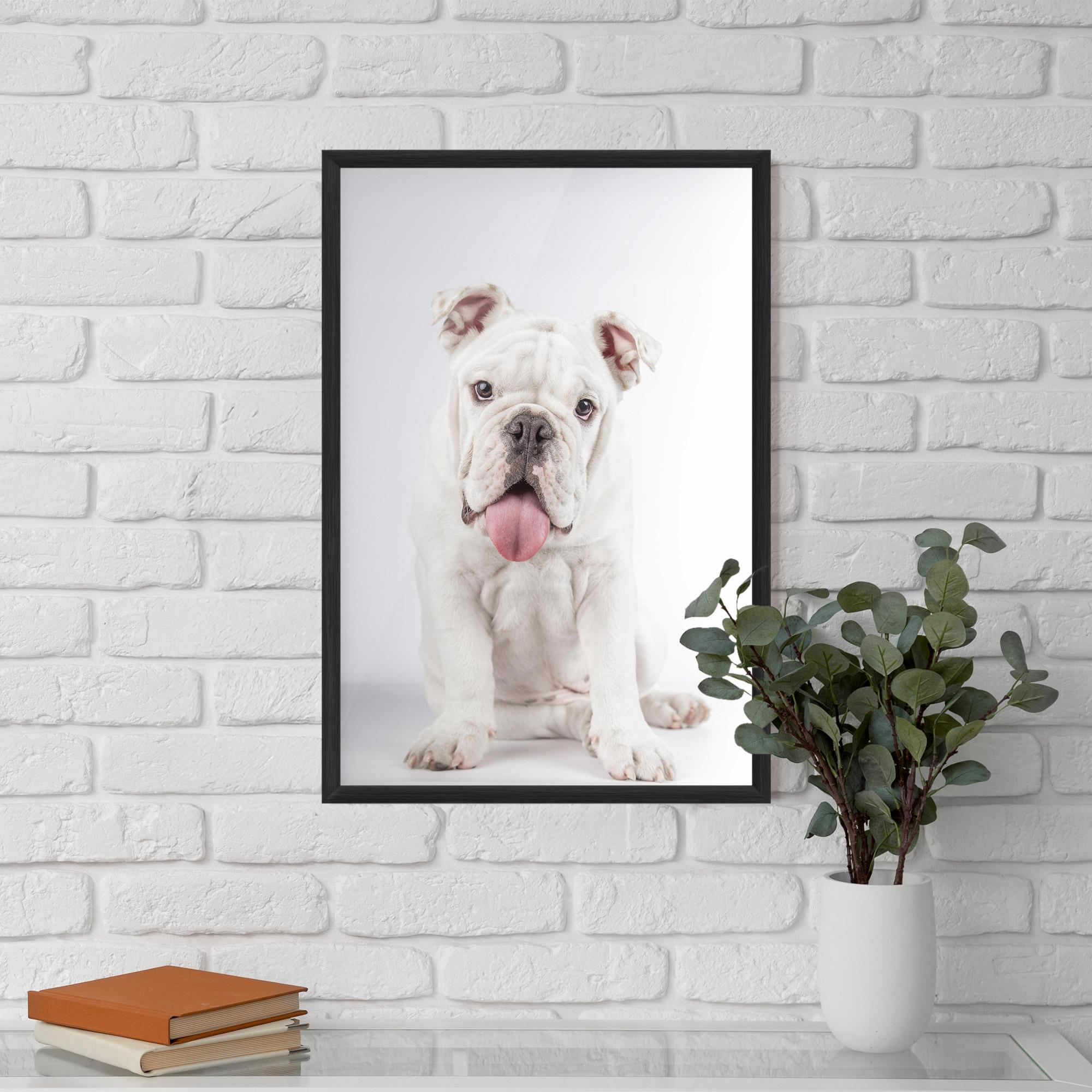 Poster Înrămat English Bulldog mockup 5