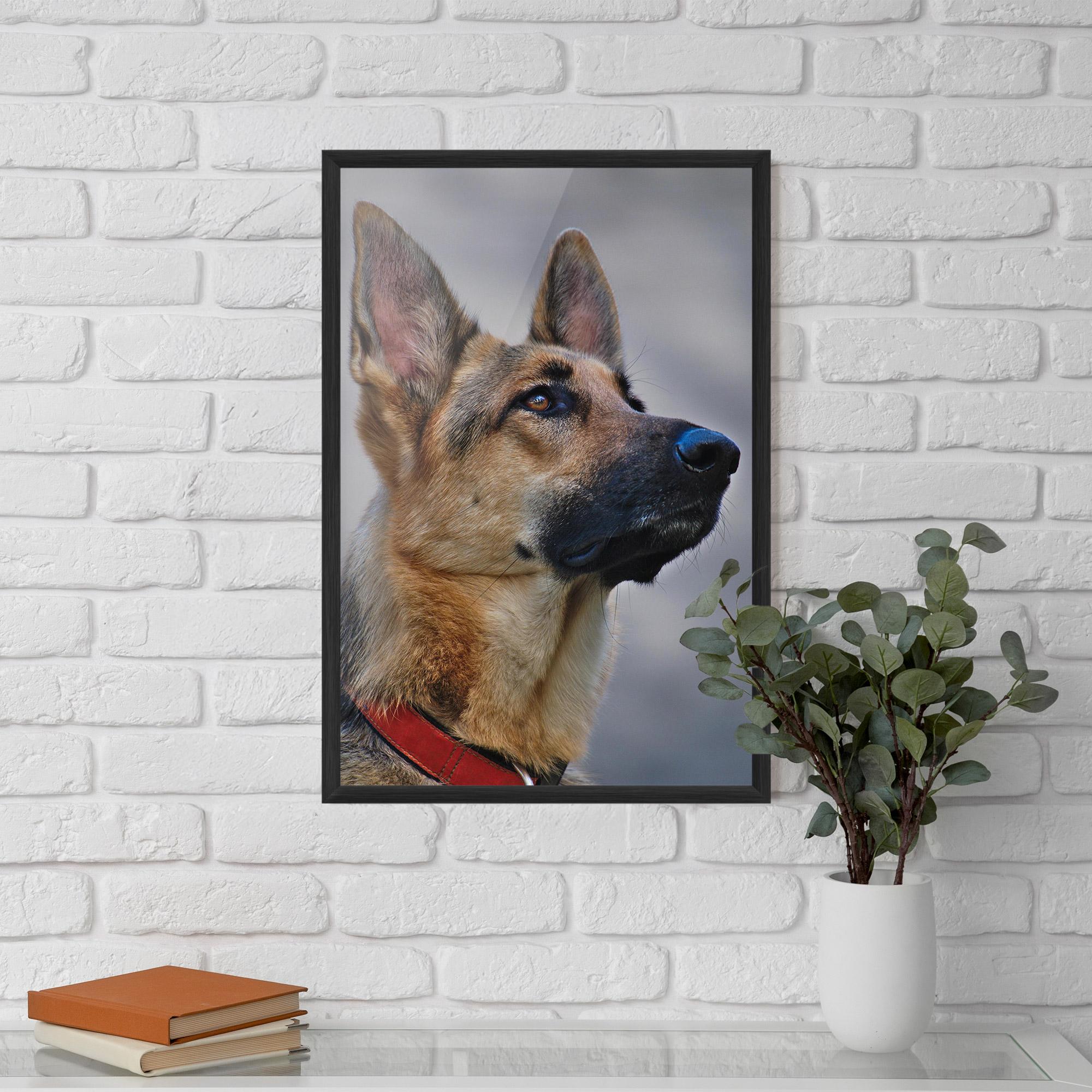 Poster Înrămat German Shepherd mockup 5