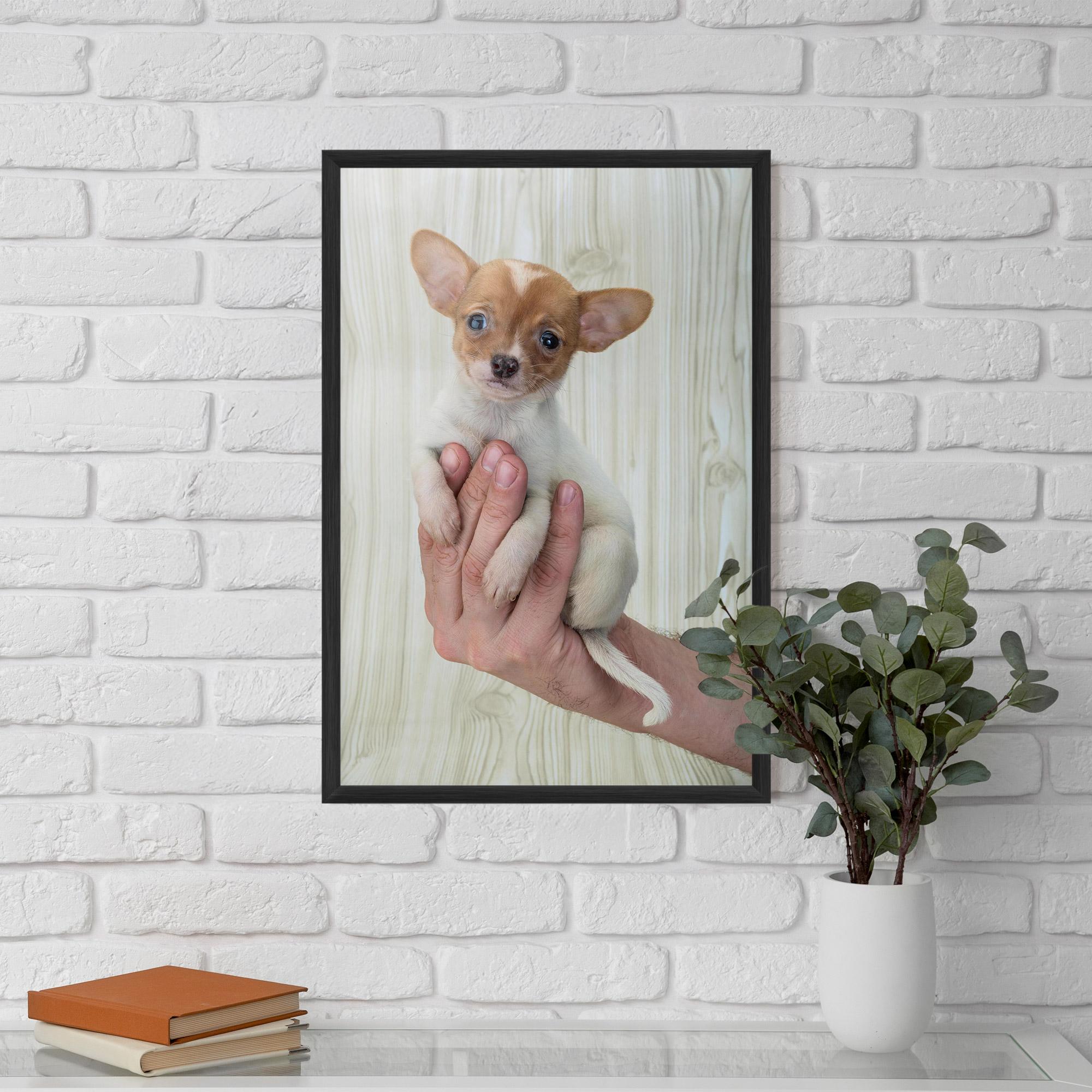 Poster Înrămat Holding Chihuahua mockup 5