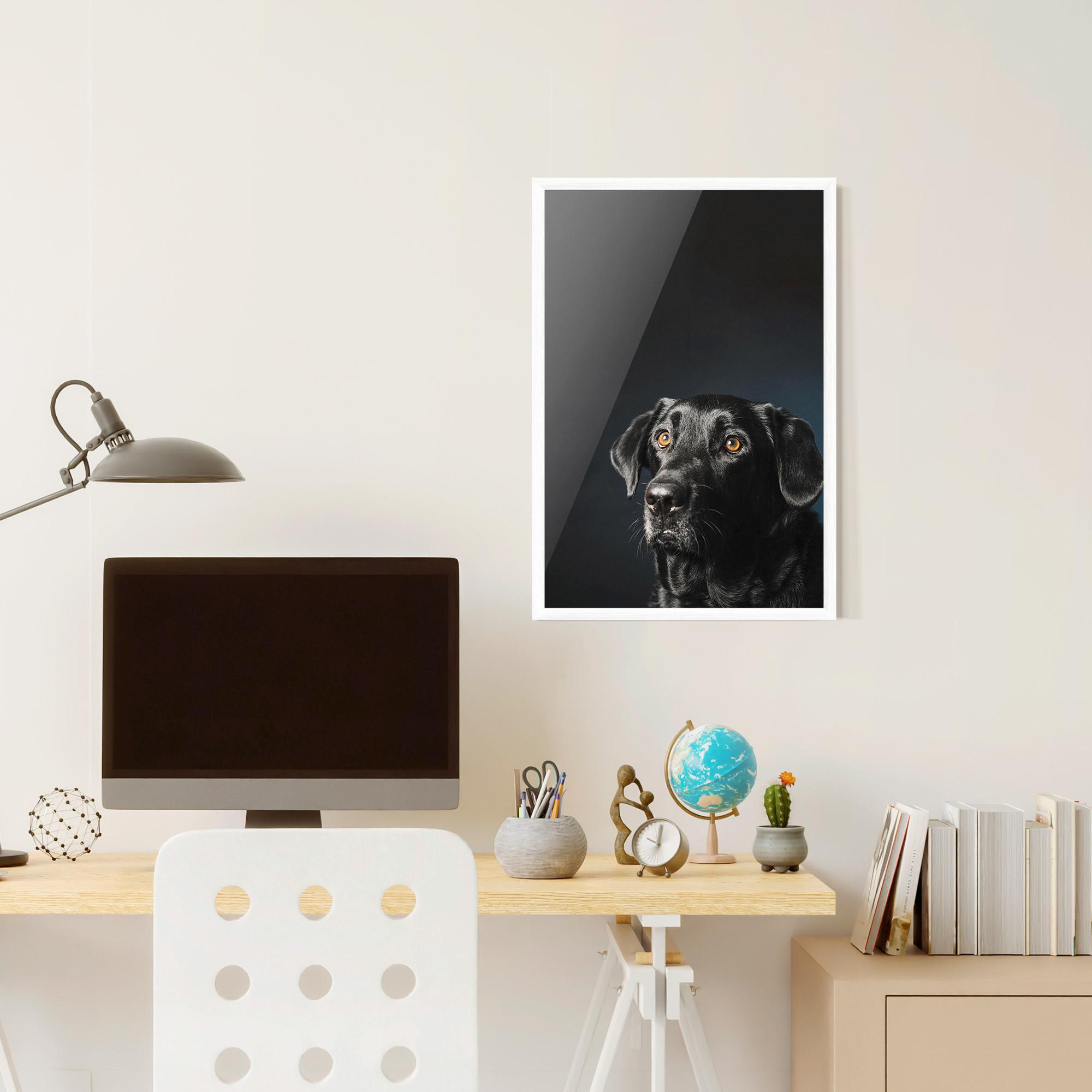 Poster Înrămat Brown Eyes Dog mockup 6