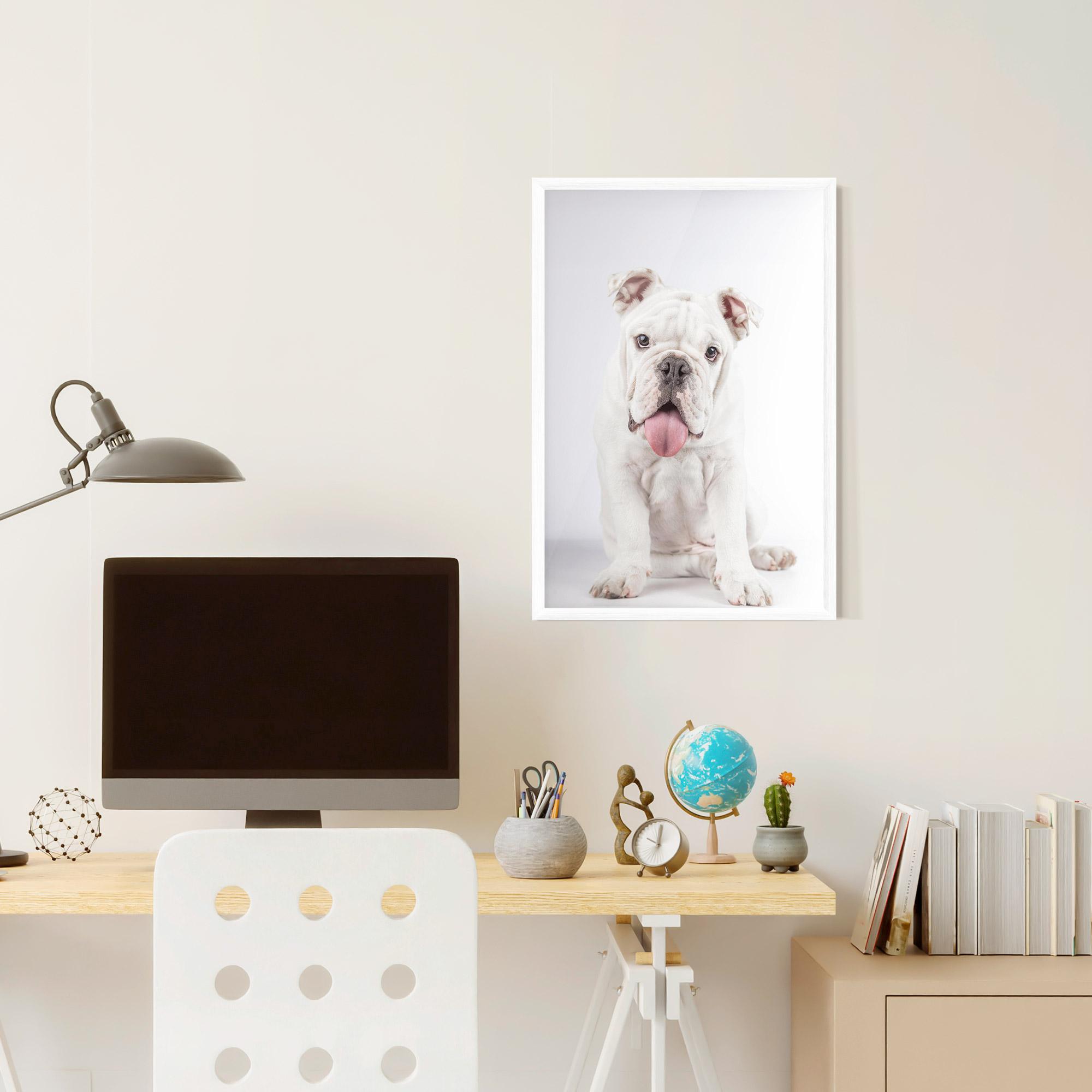 Poster Înrămat English Bulldog mockup 6