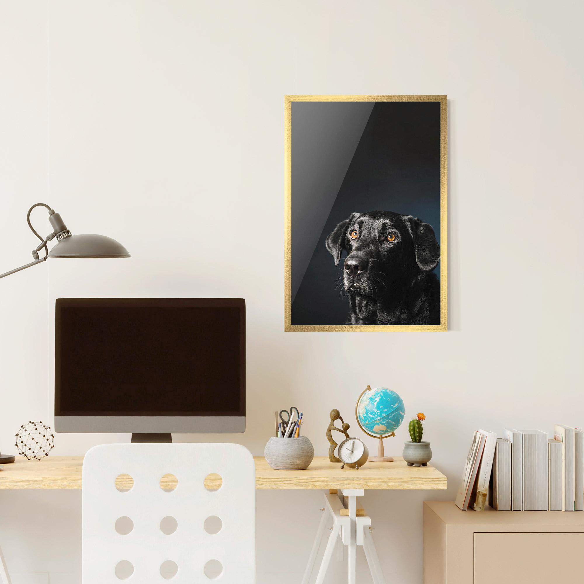 Poster Înrămat Brown Eyes Dog mockup 6