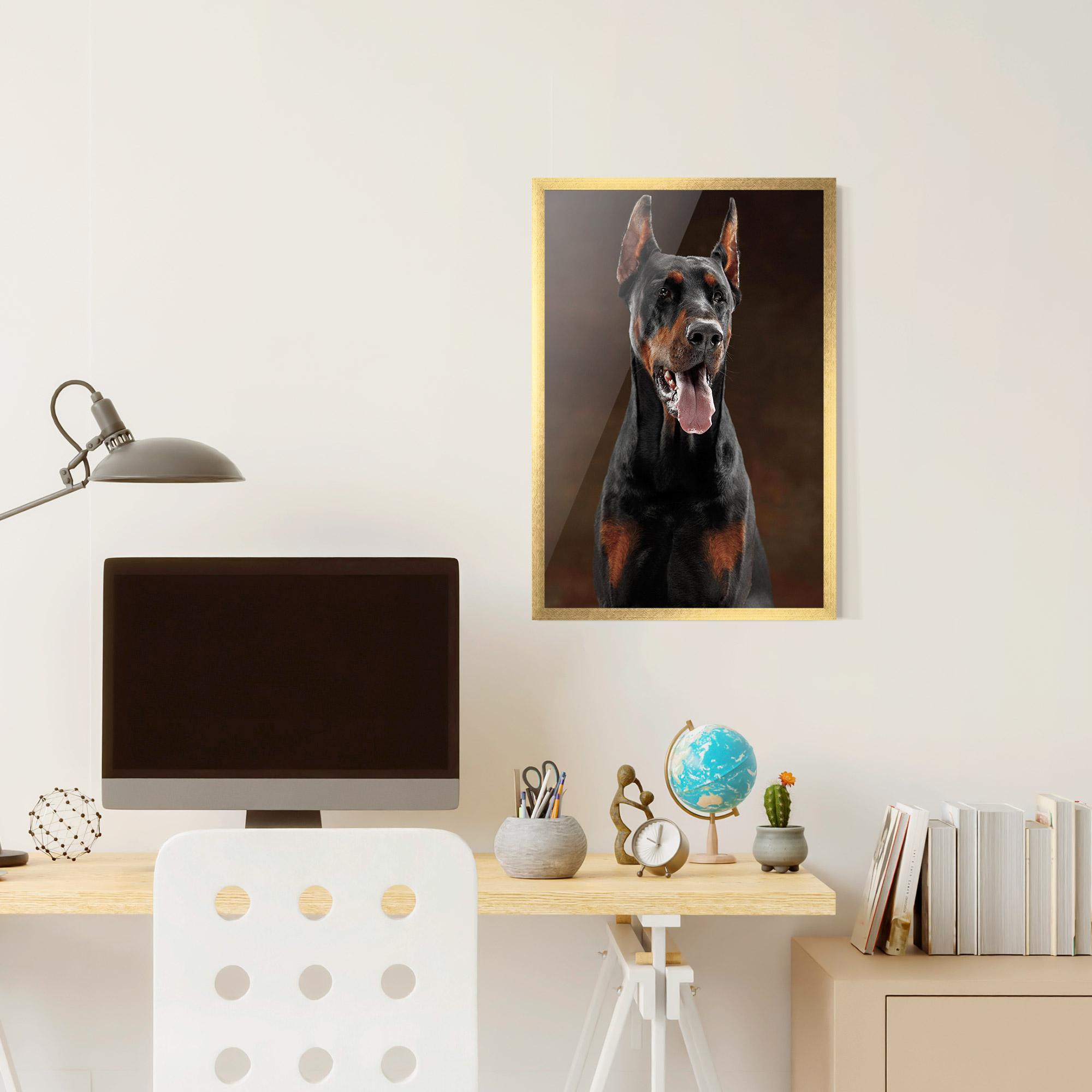Poster Înrămat Doberman Looking mockup 6