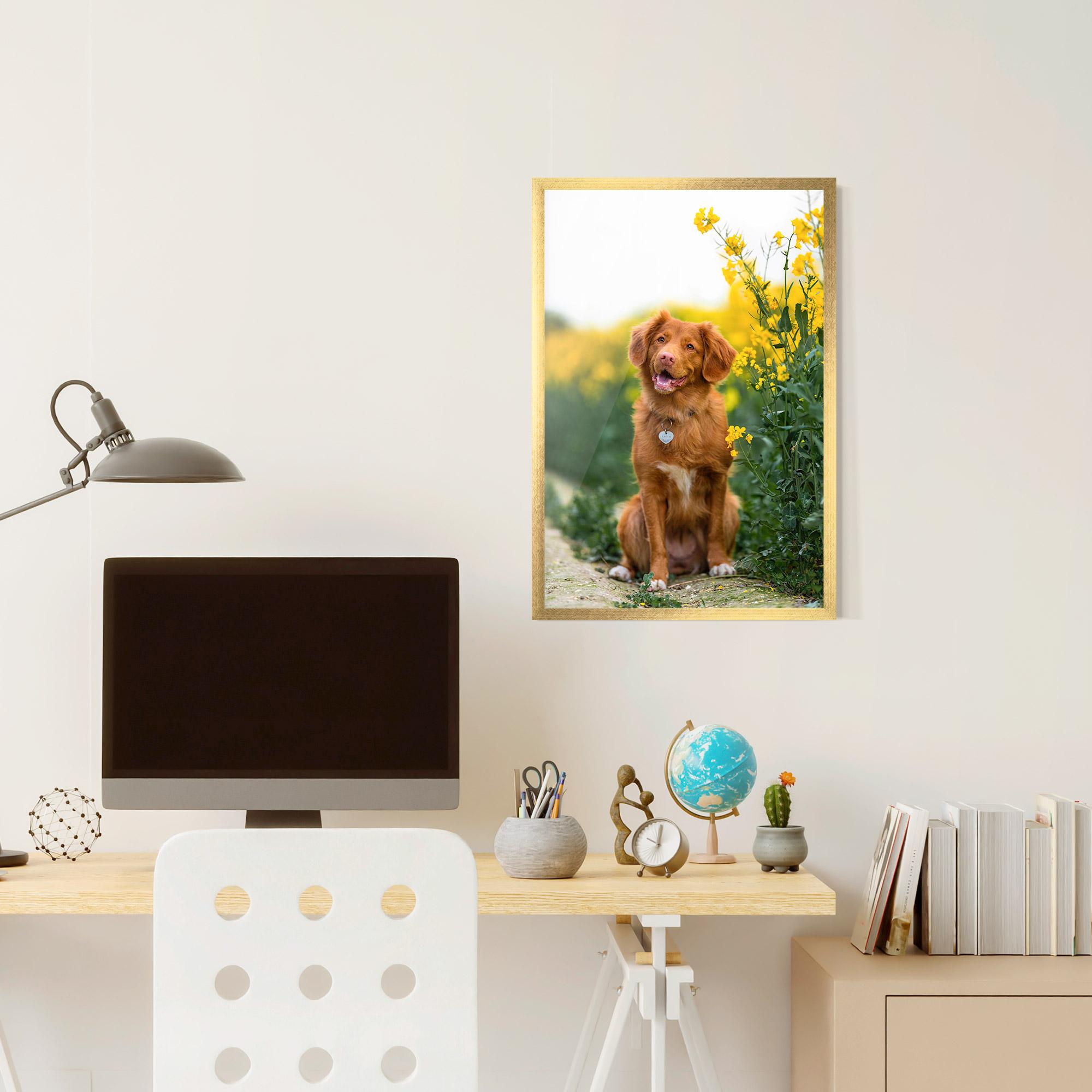 Poster Înrămat Dog Yellow Flowers mockup 6