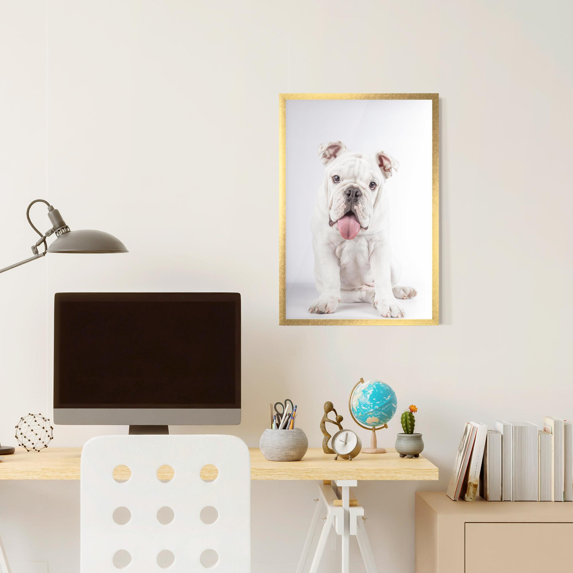Poster Înrămat English Bulldog mockup 6
