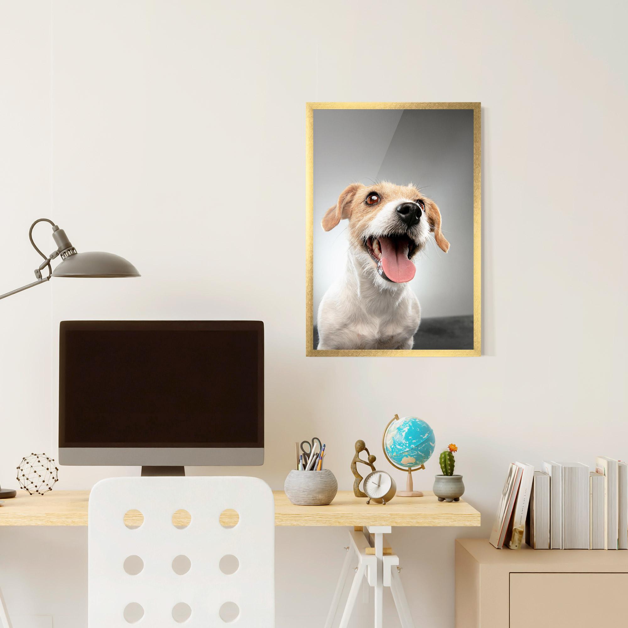 Poster Înrămat Jack Russell Terrier mockup 6