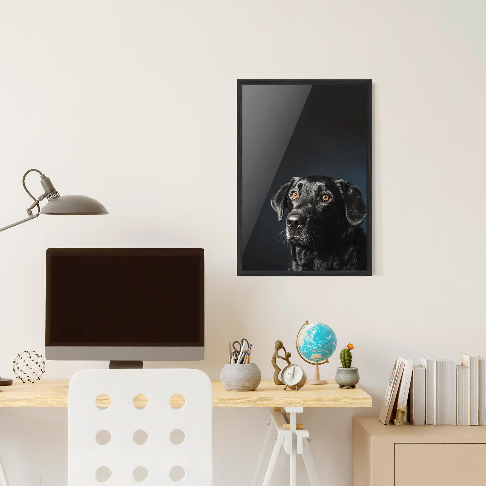 Poster Înrămat Brown Eyes Dog mockup 6
