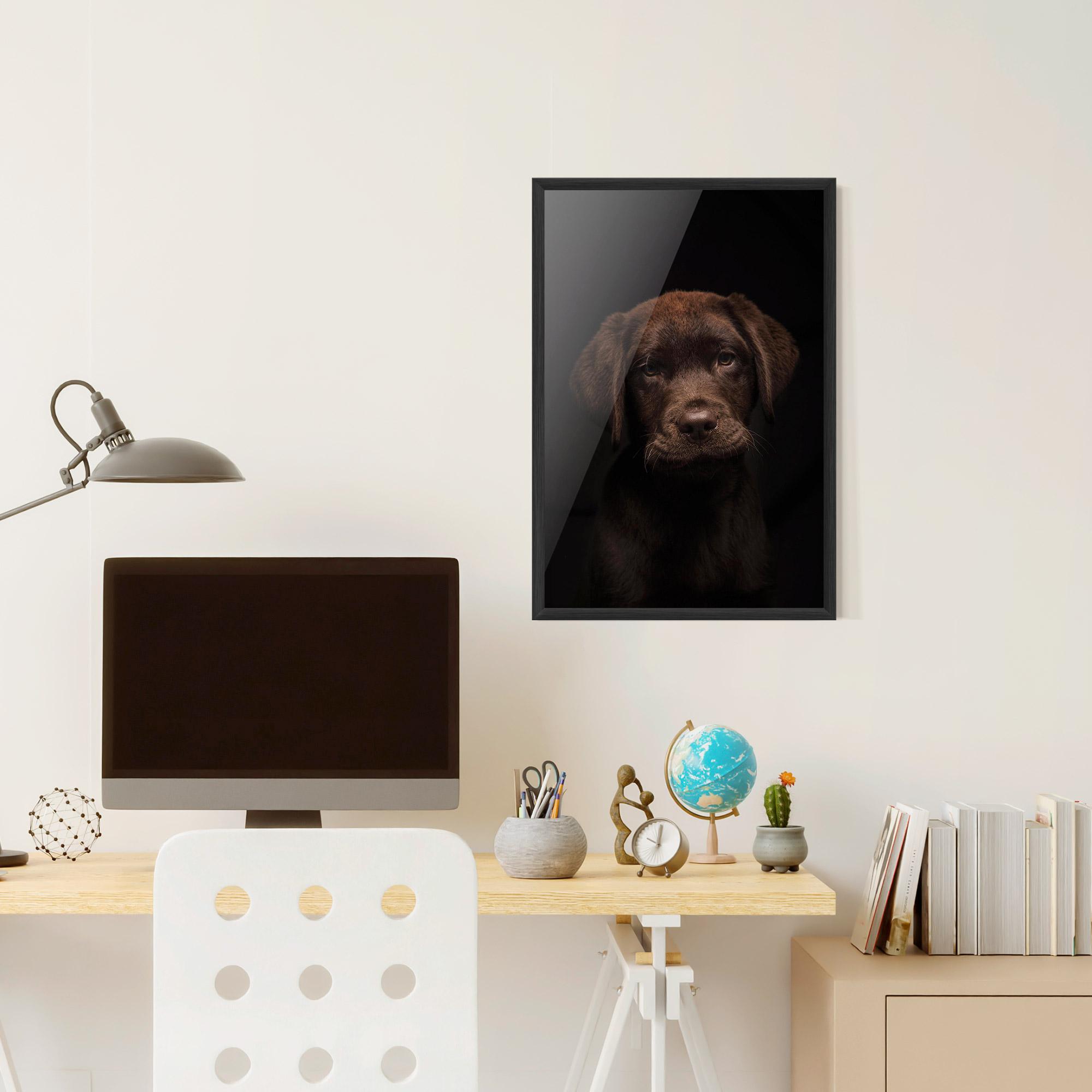 Poster Înrămat Chocolate Labrador mockup 6