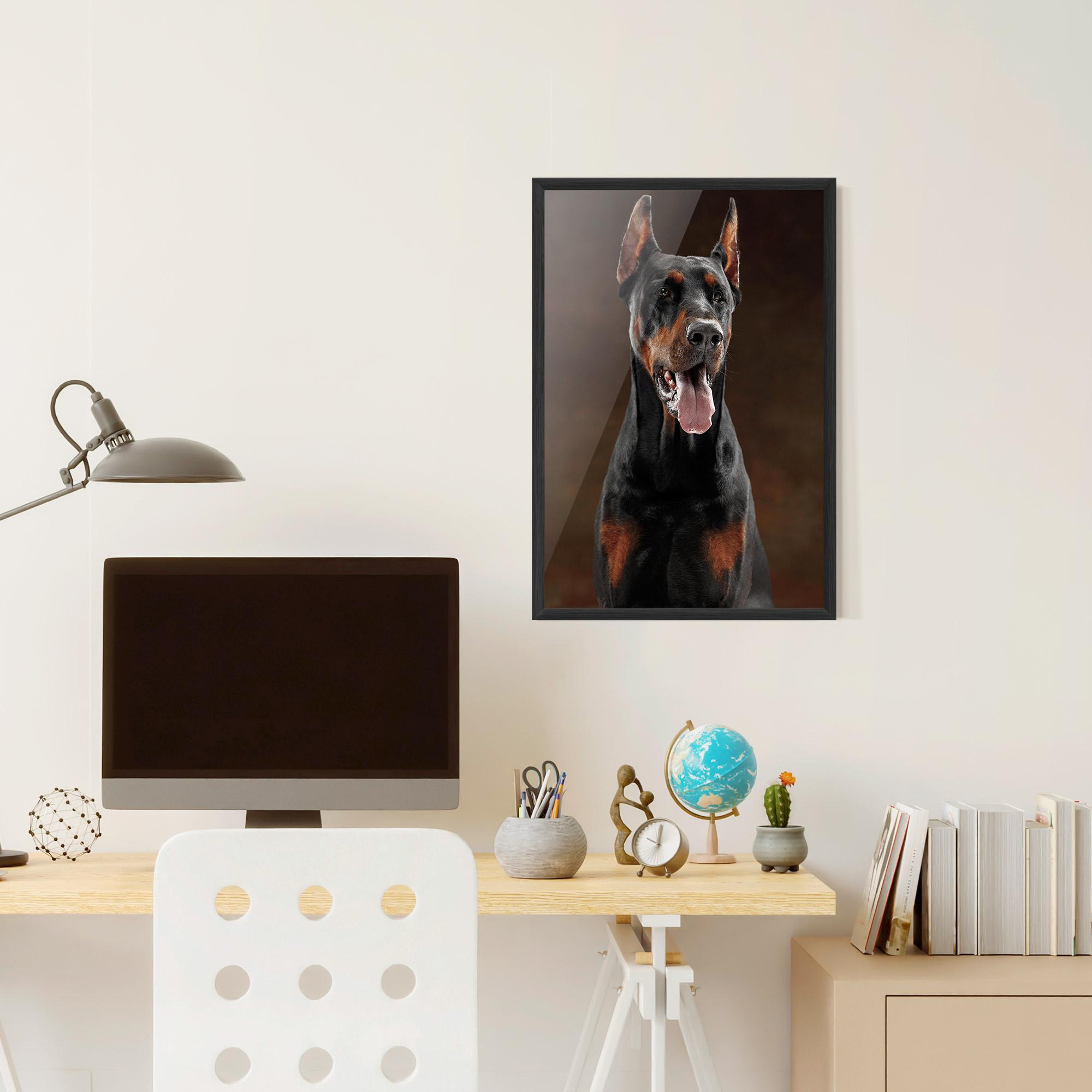 Poster Înrămat Doberman Looking mockup 6