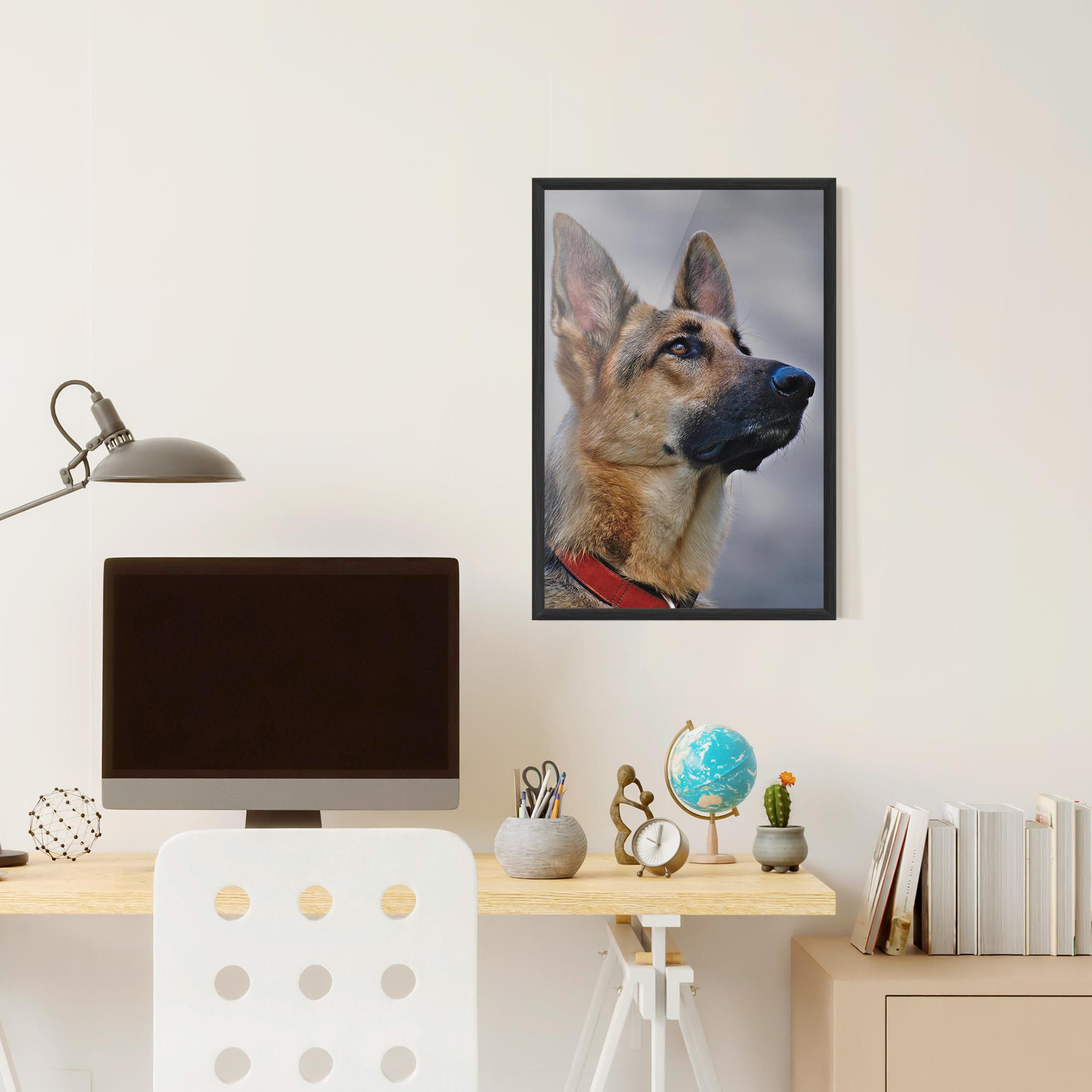 Poster Înrămat German Shepherd mockup 6