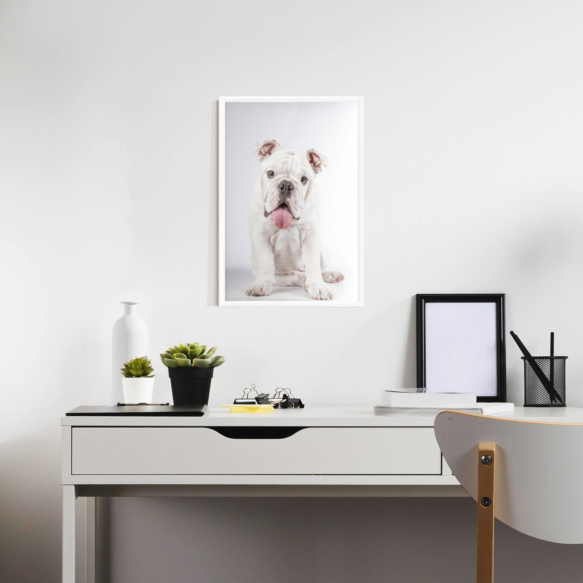 Poster Înrămat English Bulldog mockup 7