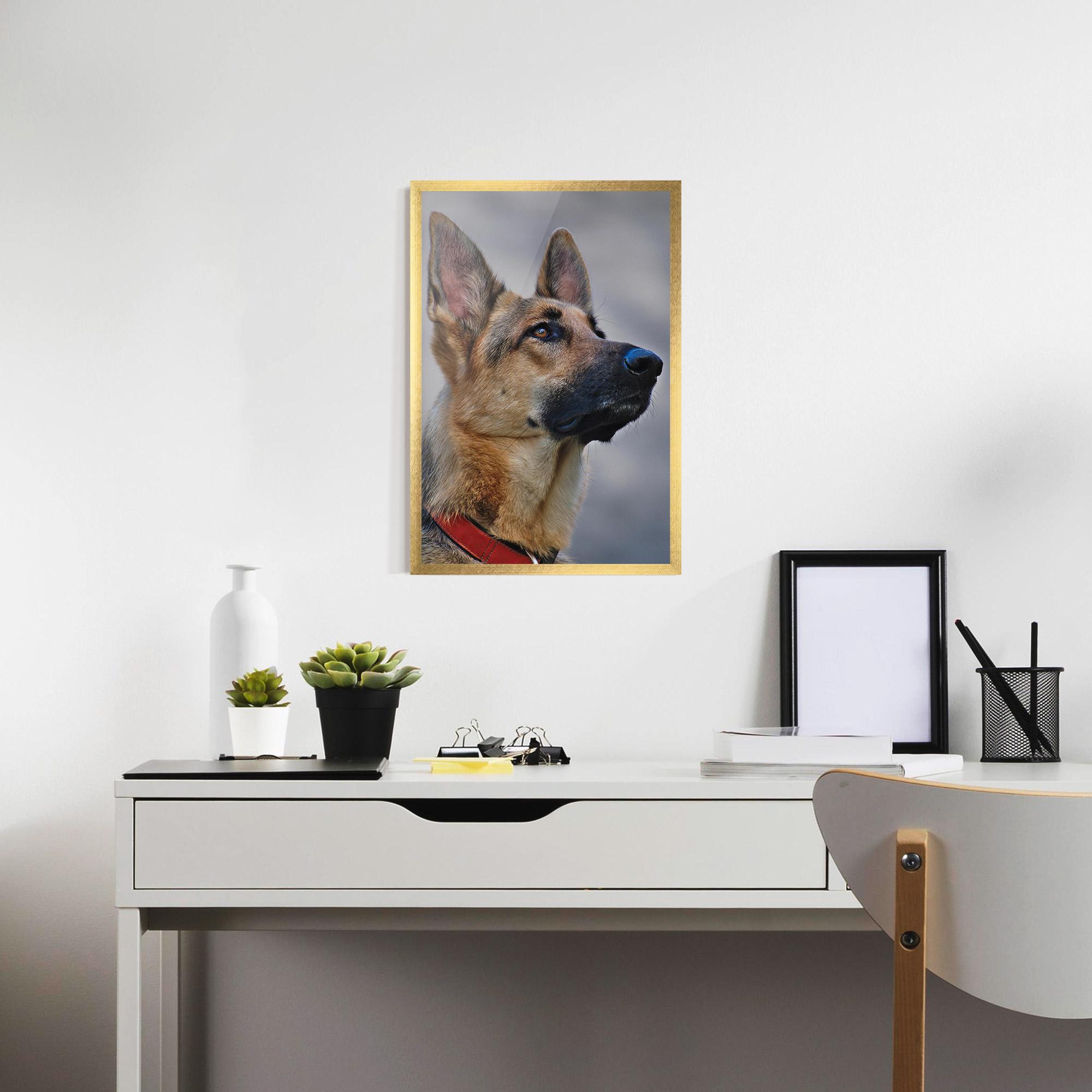 Poster Înrămat German Shepherd mockup 7