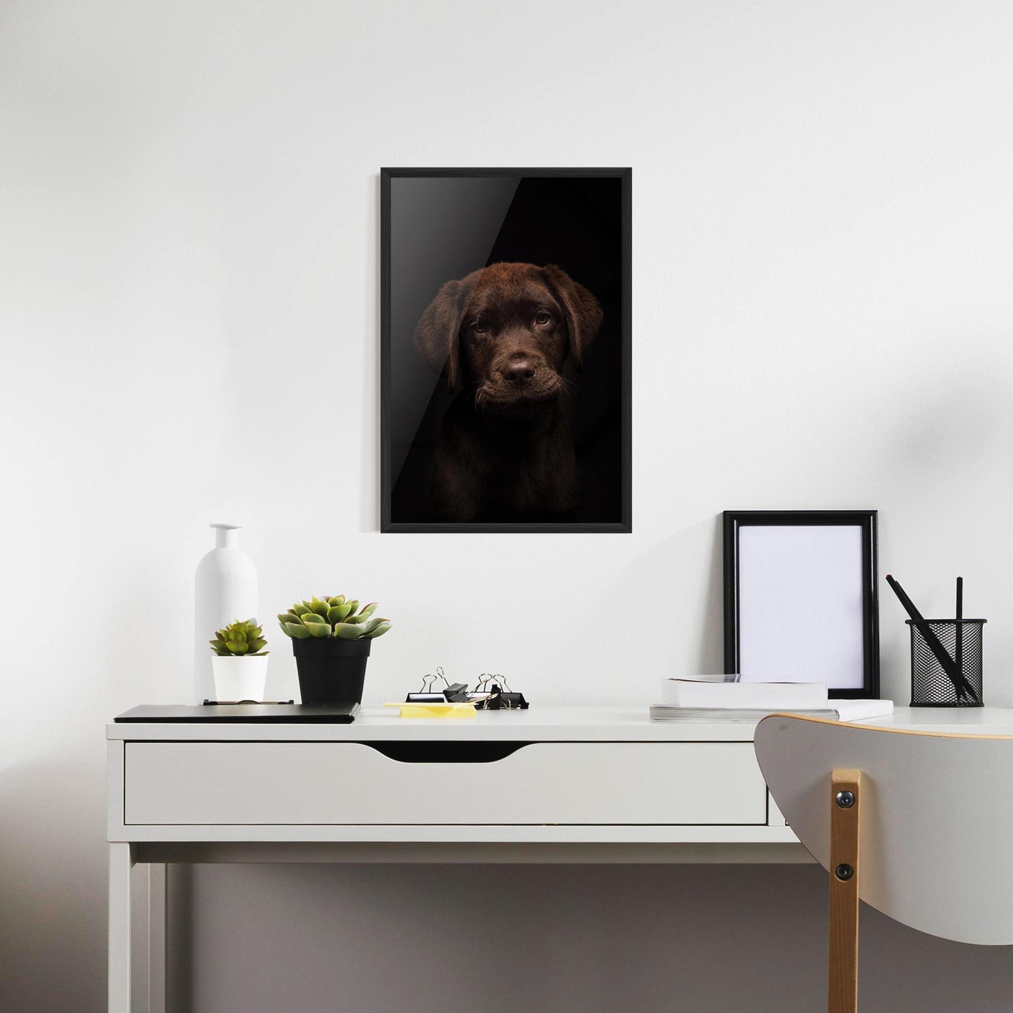 Poster Înrămat Chocolate Labrador mockup 7