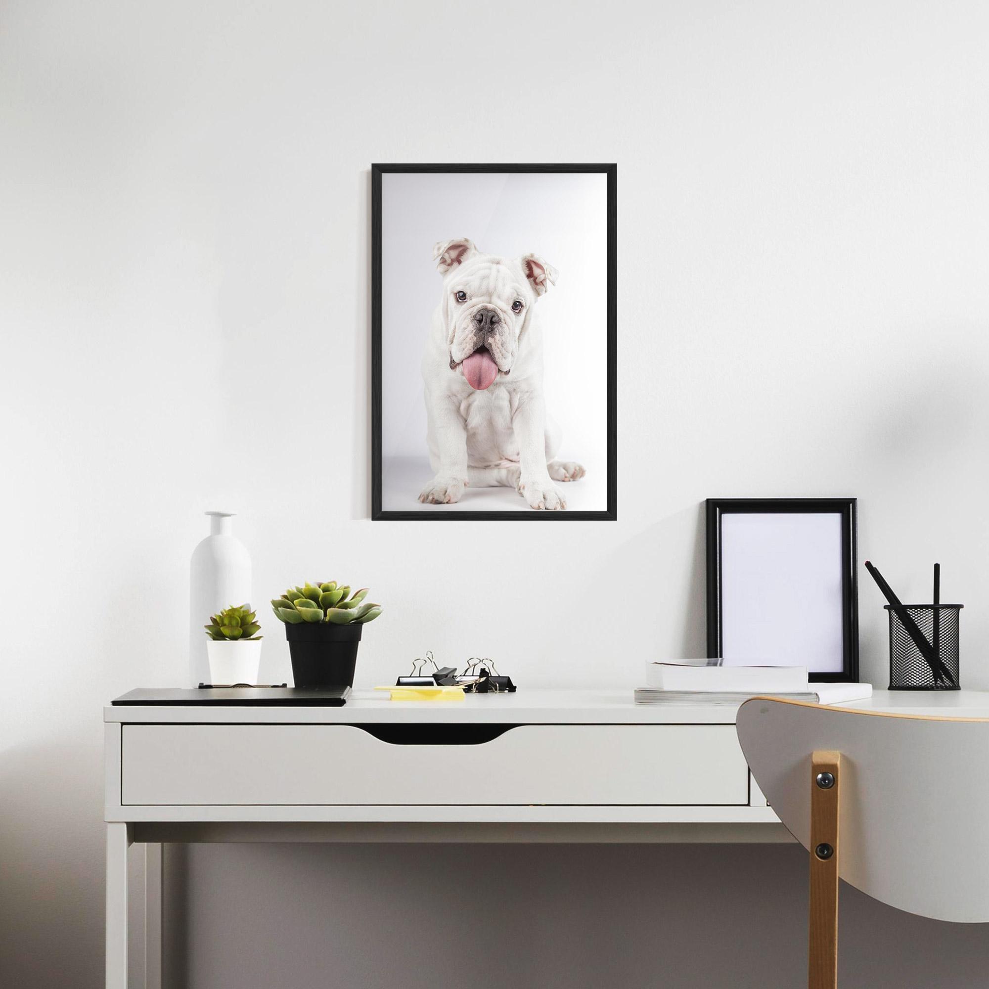 Poster Înrămat English Bulldog mockup 7