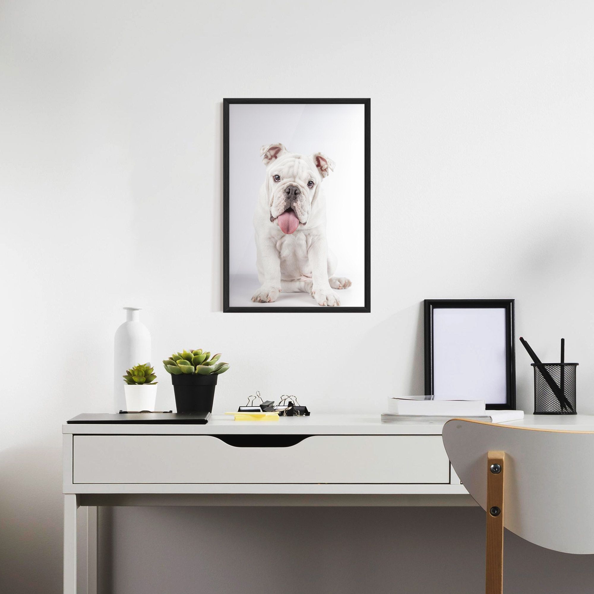 English Bulldog mockup 7