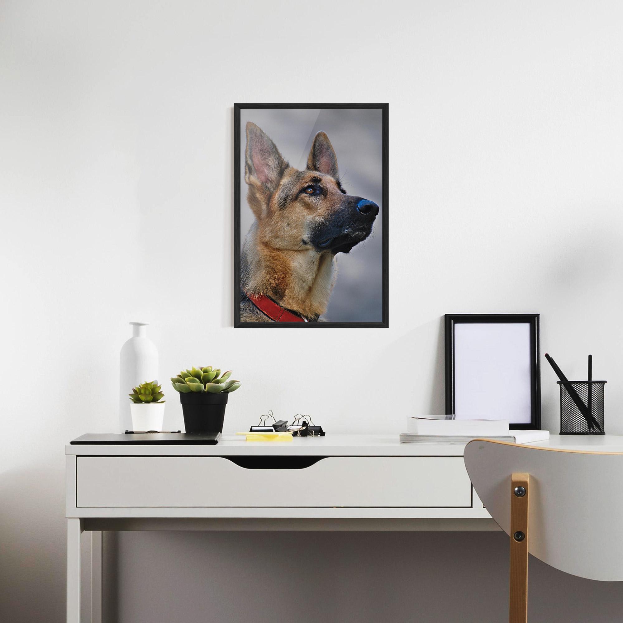 Poster Înrămat German Shepherd mockup 7