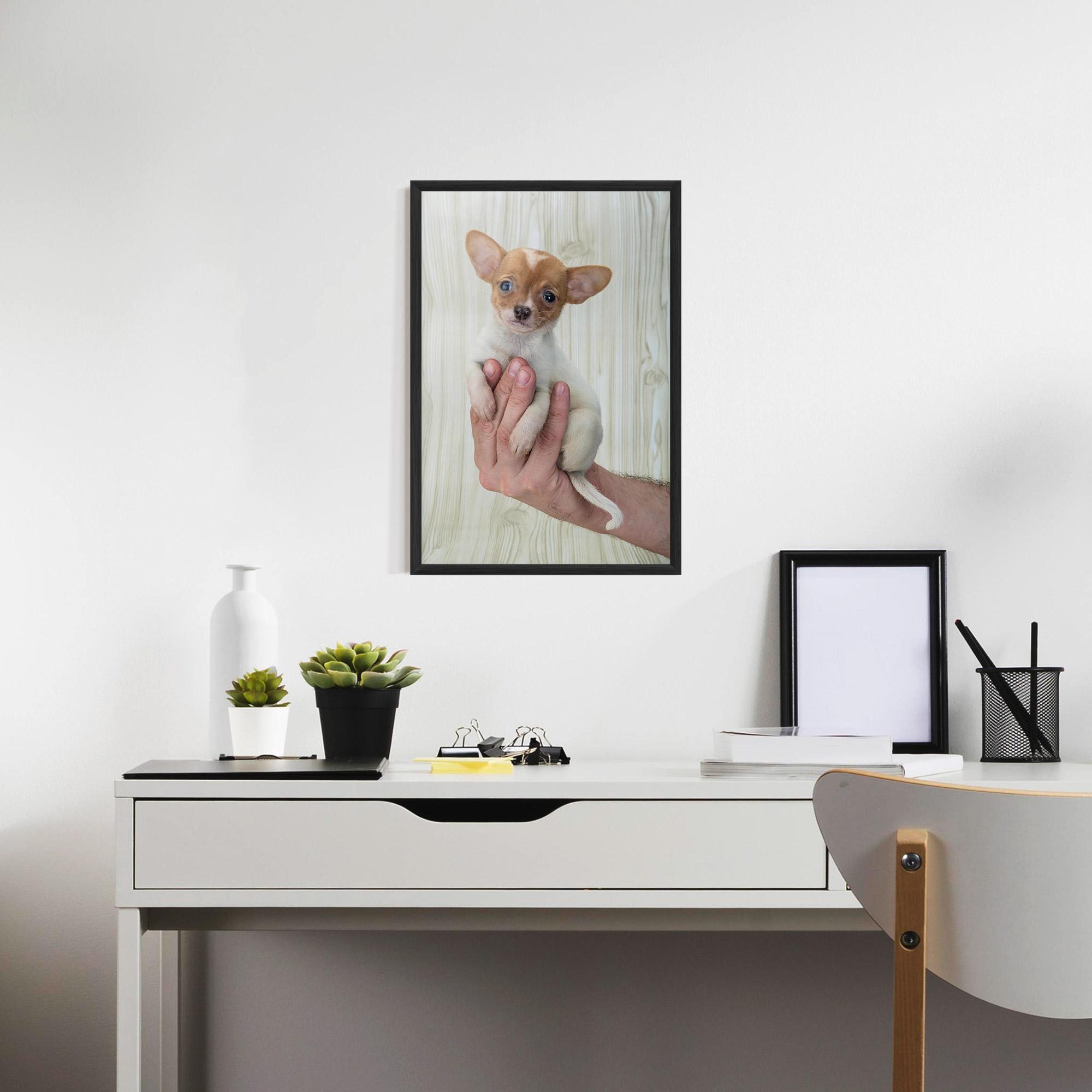 Poster Înrămat Holding Chihuahua mockup 7