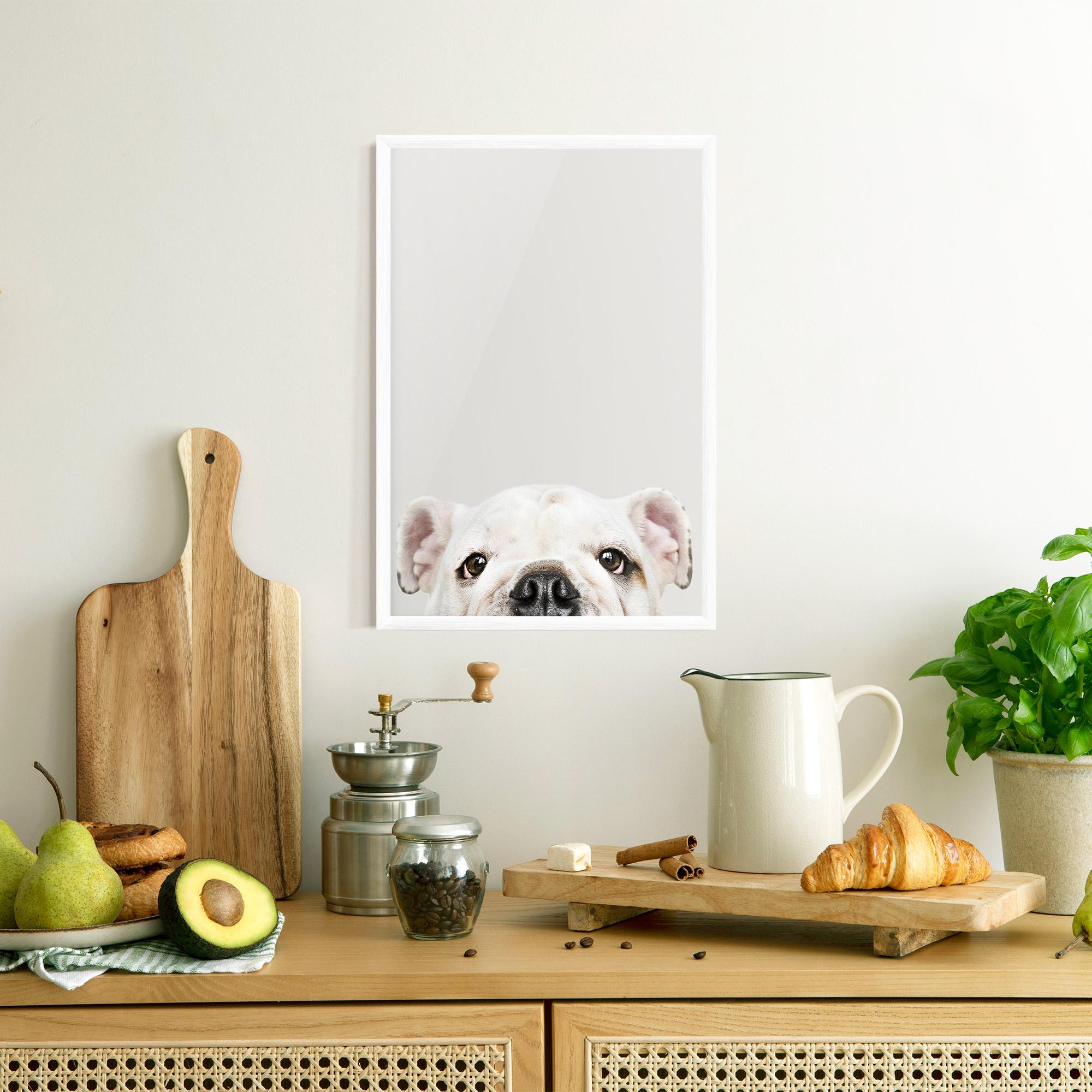 Poster Înrămat Bulldog Eyes mockup 8