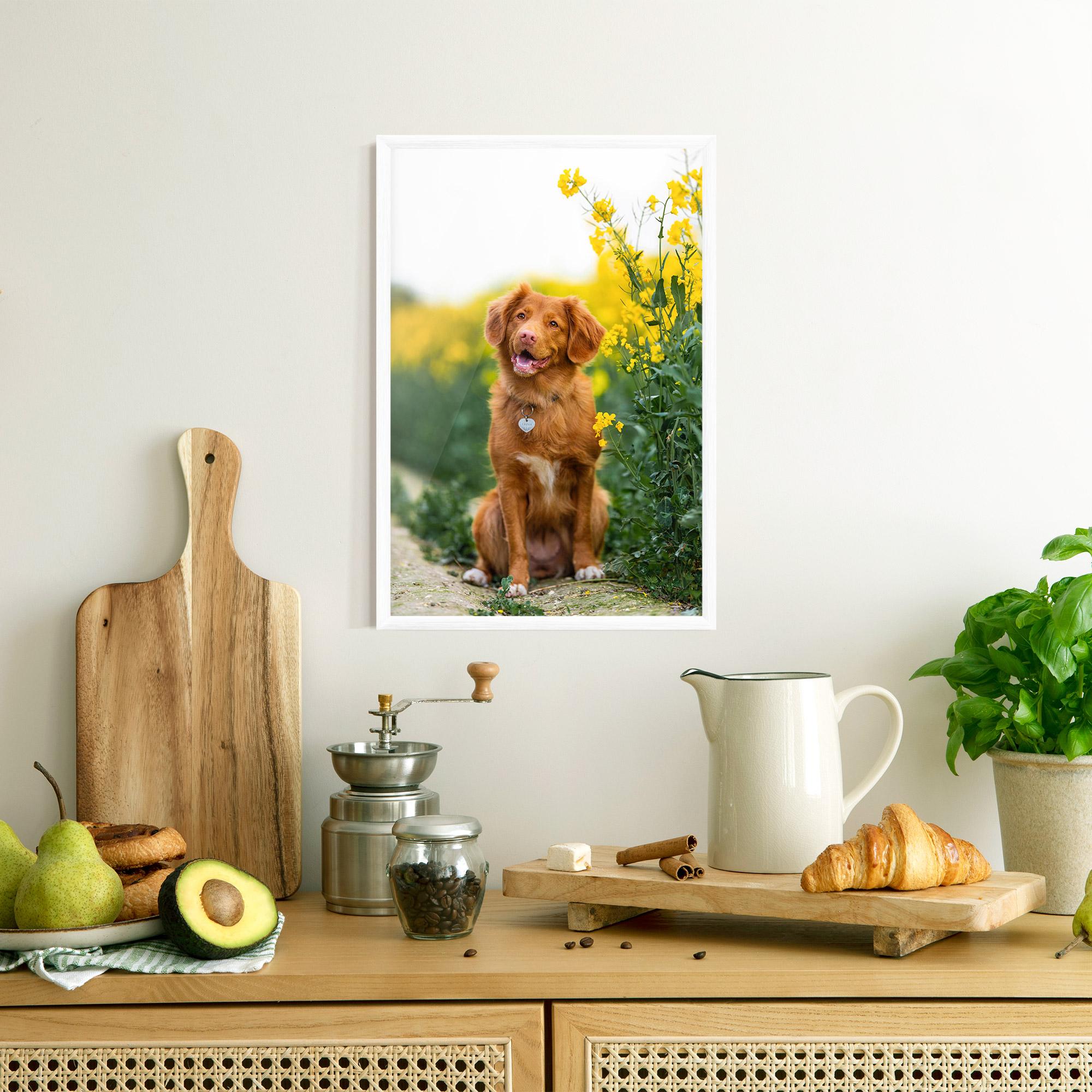 Poster Înrămat Dog Yellow Flowers mockup 8