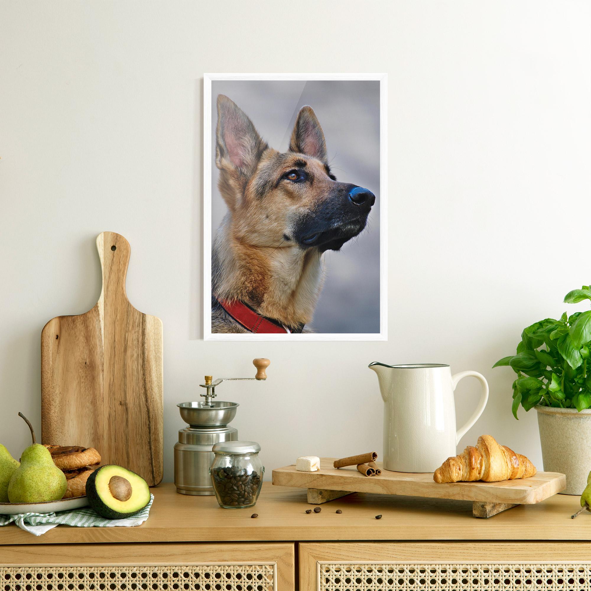 Poster Înrămat German Shepherd mockup 8