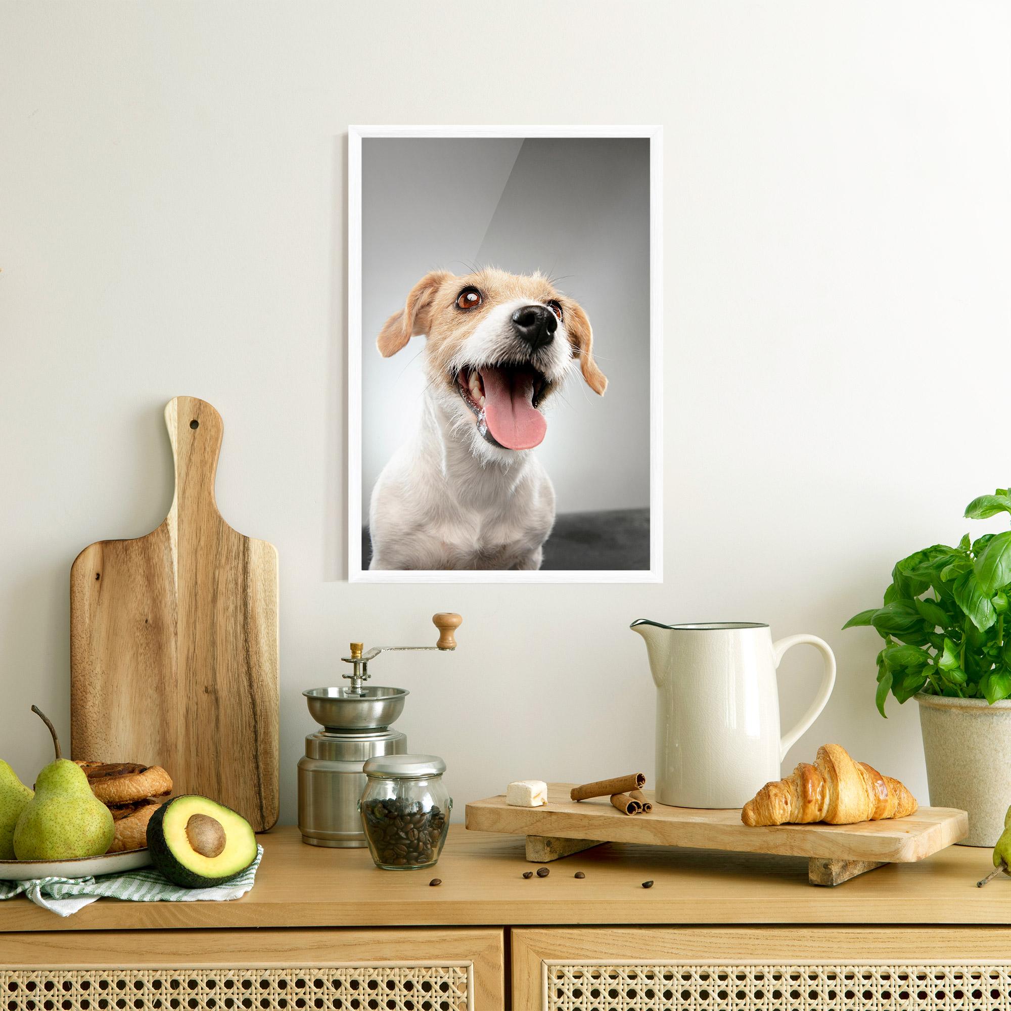 Poster Înrămat Jack Russell Terrier mockup 8