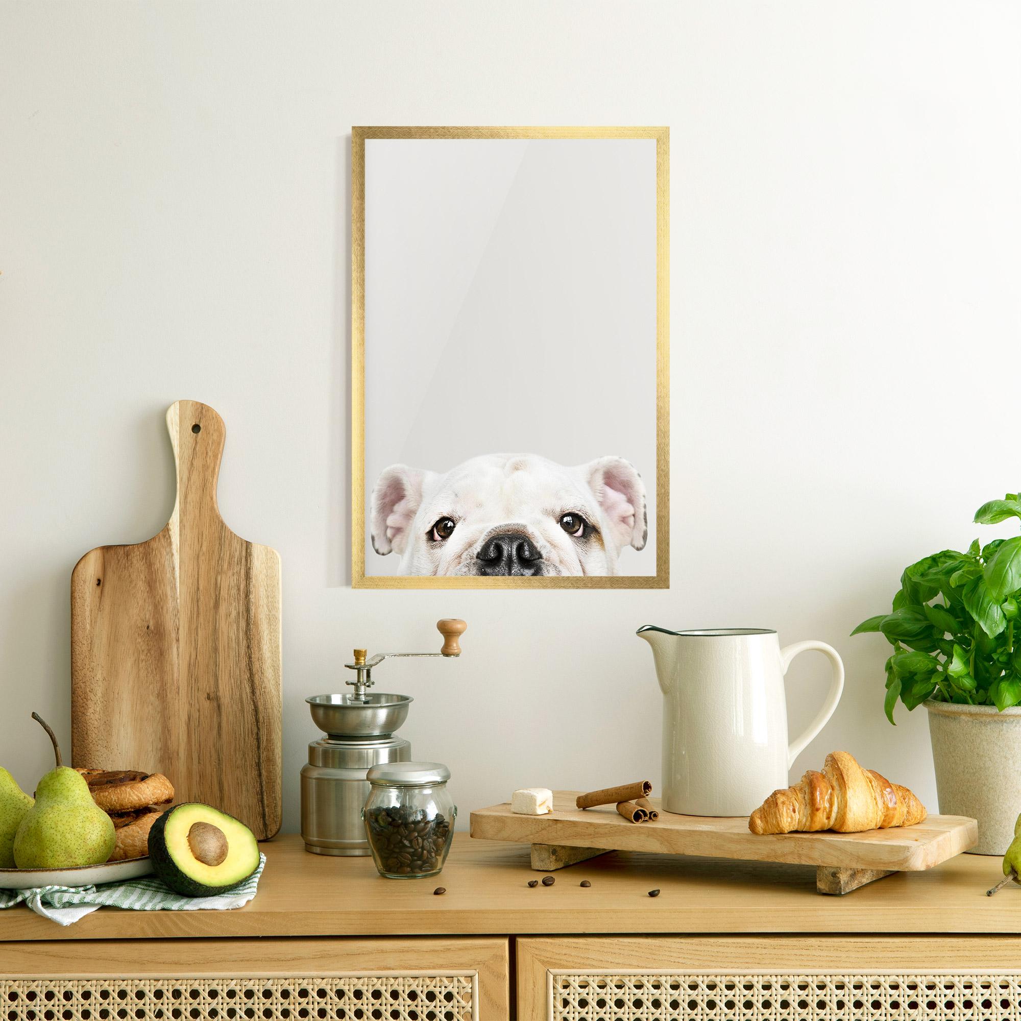 Poster Înrămat Bulldog Eyes mockup 8