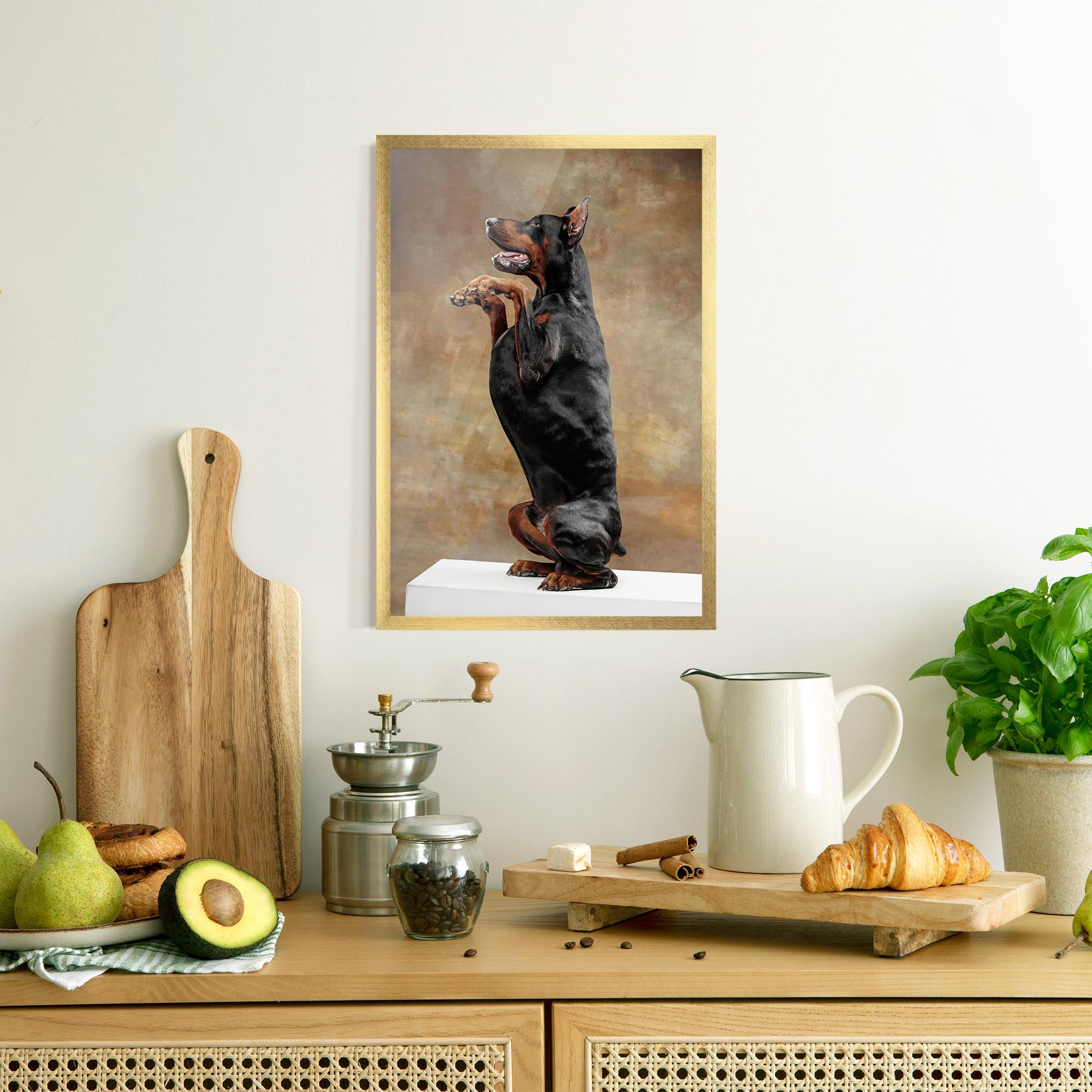 Poster Înrămat Doberman Standing mockup 8