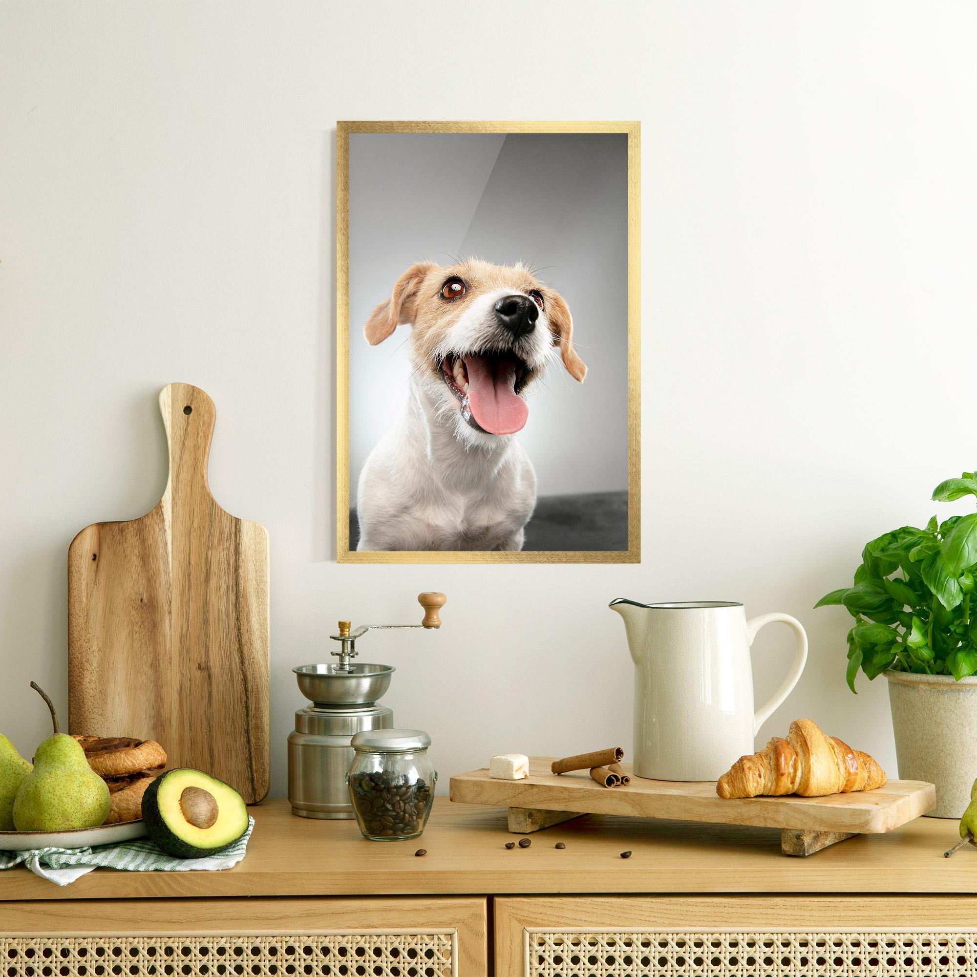 Poster Înrămat Jack Russell Terrier mockup 8