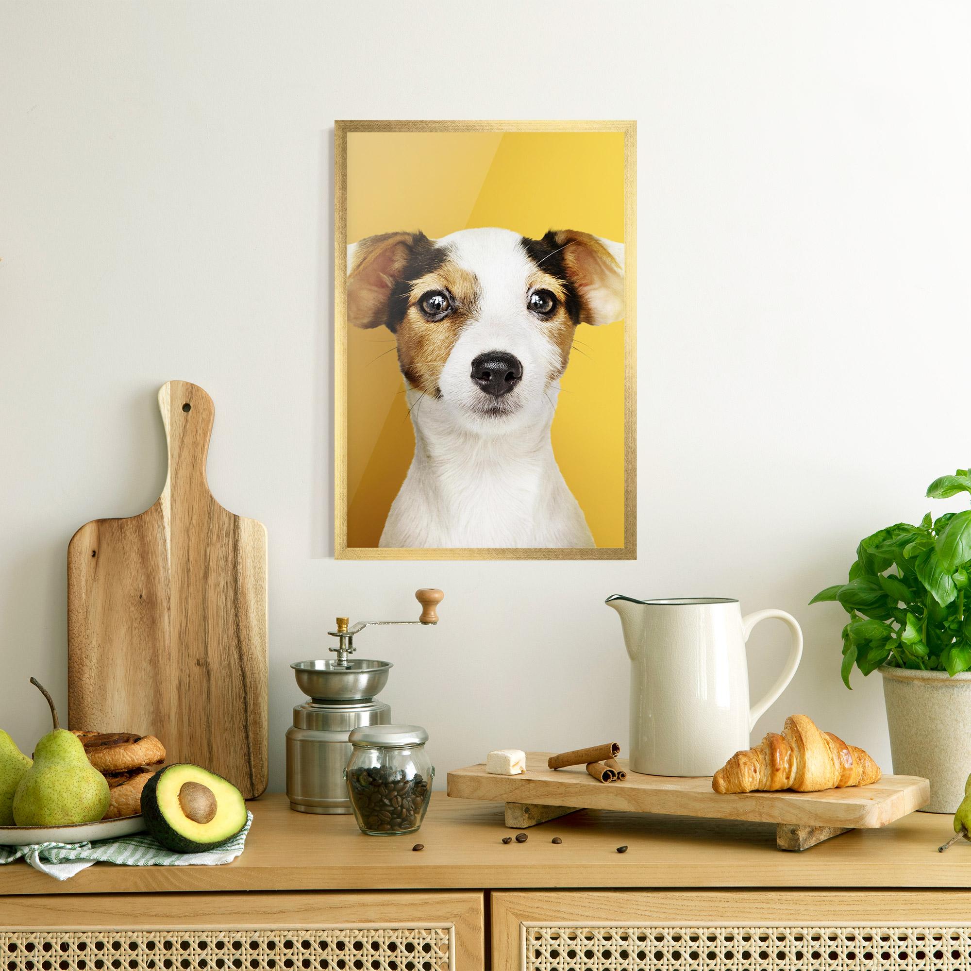Poster Înrămat Puppy On Yellow mockup 8