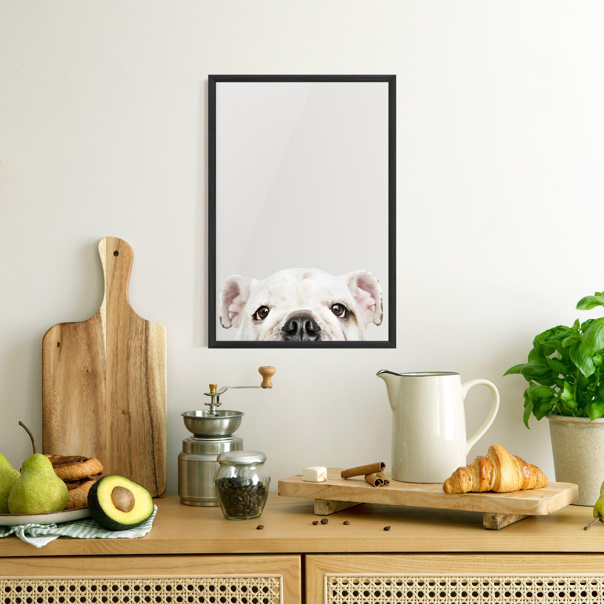 Poster Înrămat Bulldog Eyes mockup 8