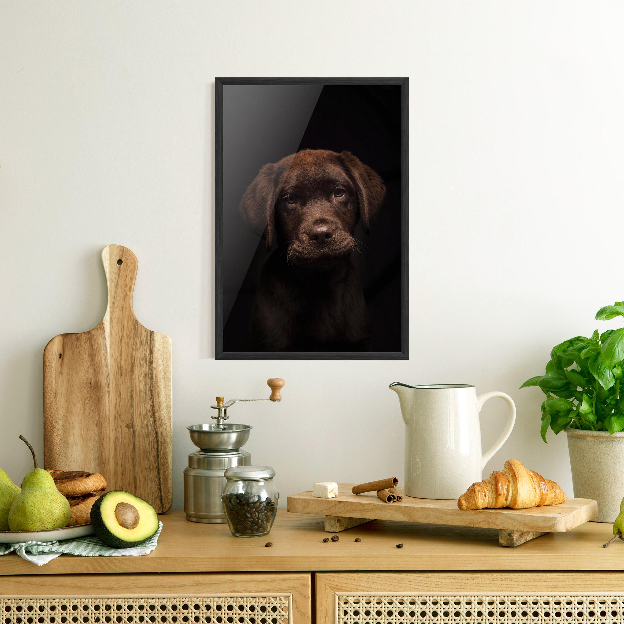 Poster Înrămat Chocolate Labrador mockup 8
