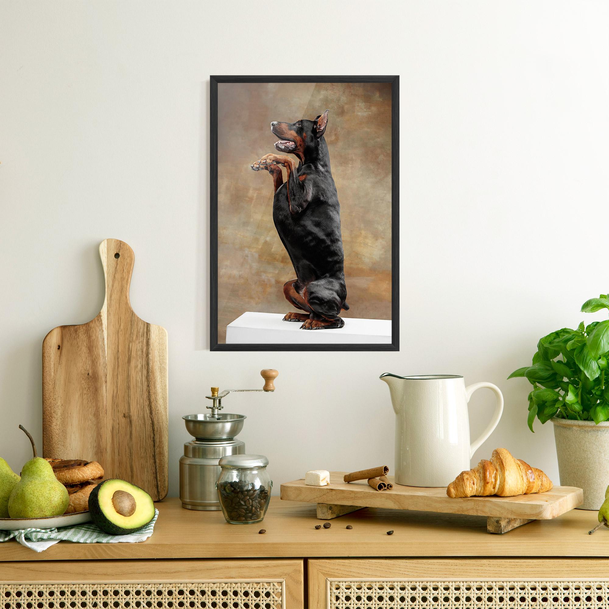 Poster Înrămat Doberman Standing mockup 8